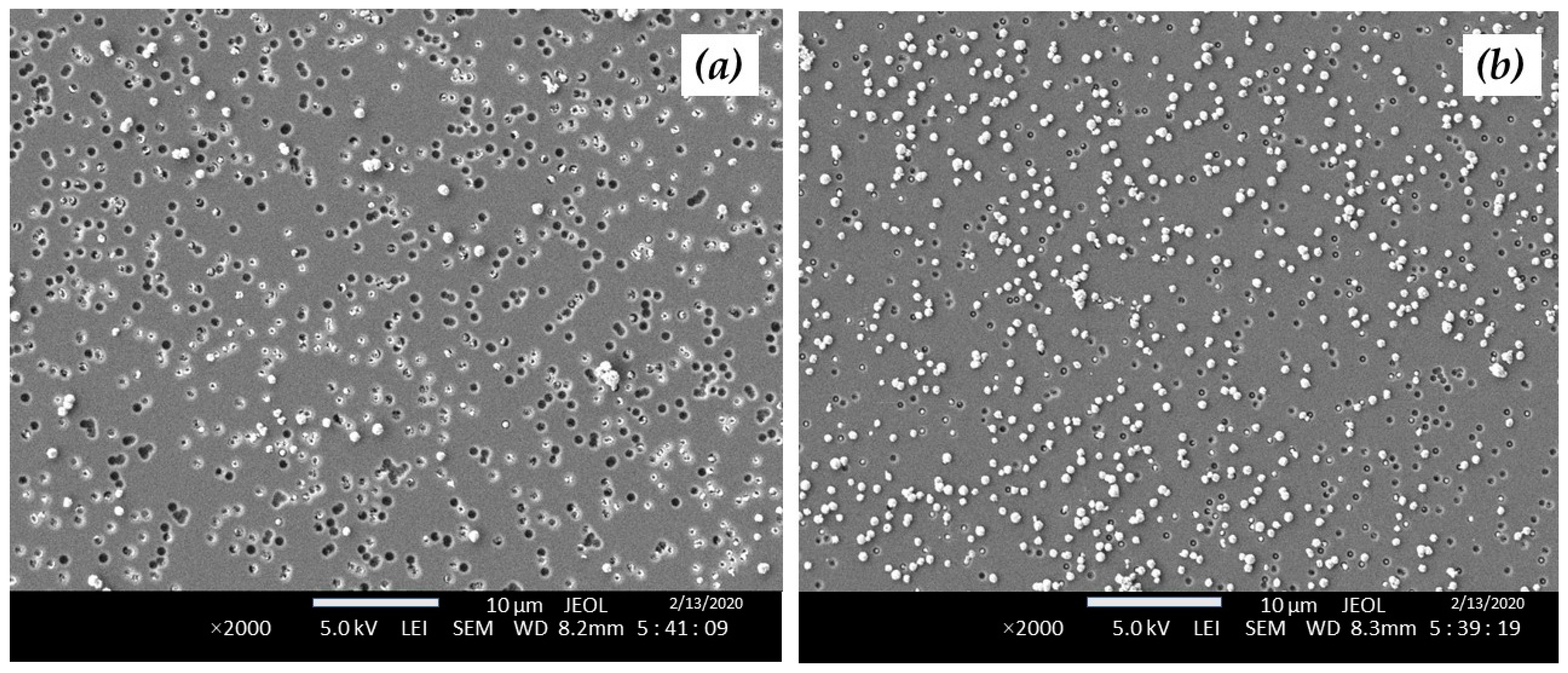 Crystals 14 00730 g002