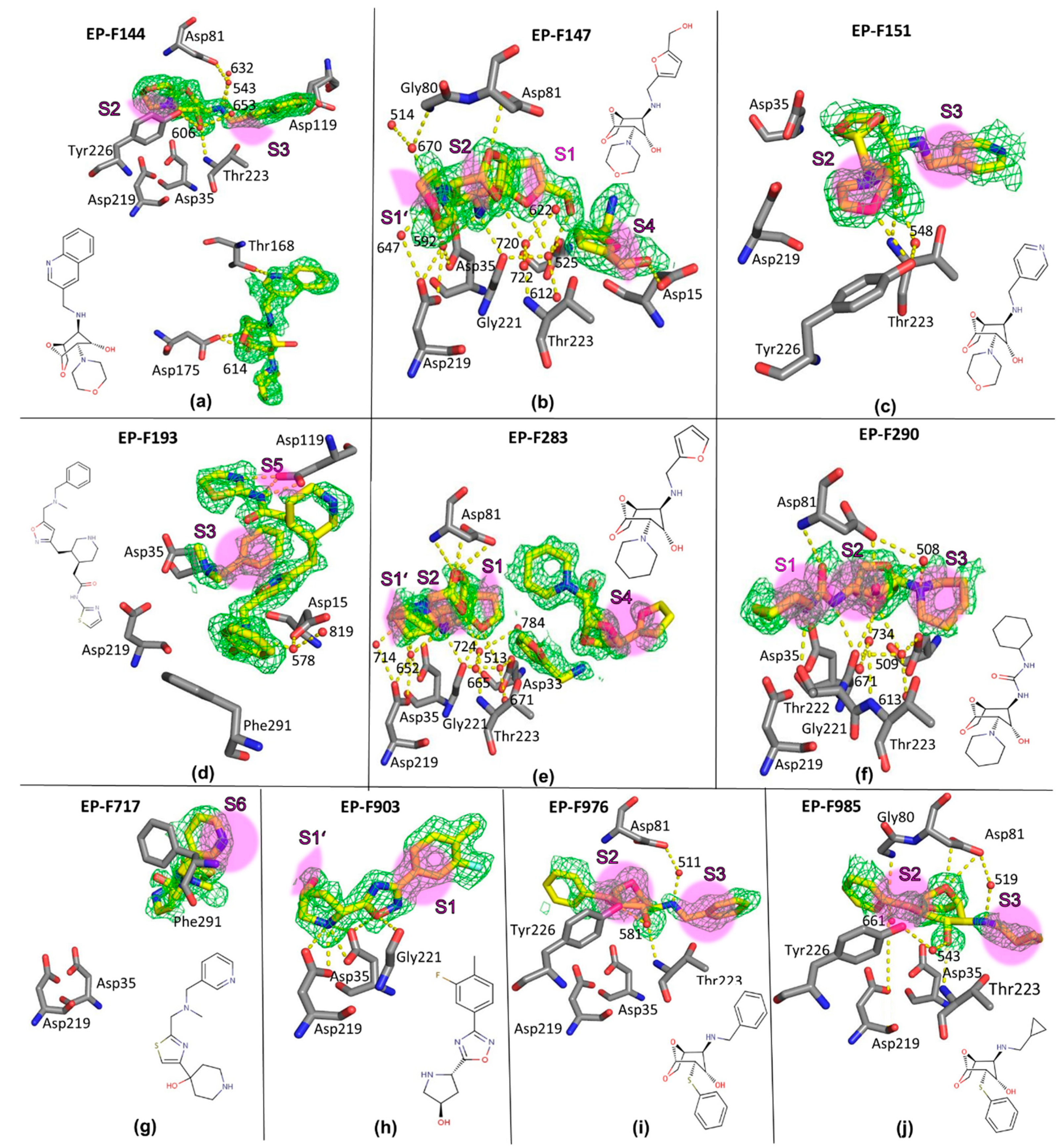 Crystals 14 00755 g003