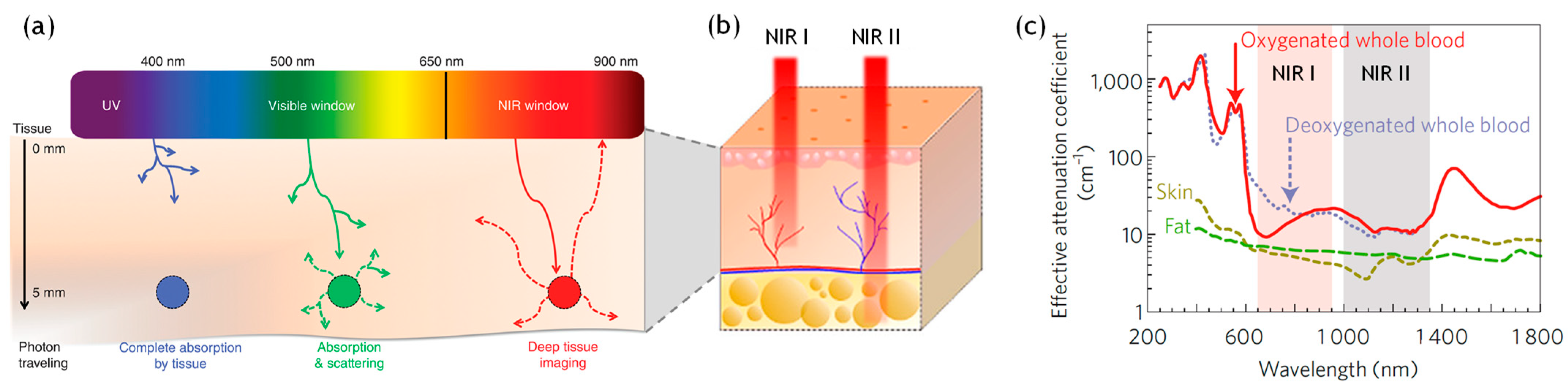 Crystals 14 00762 g004 Crystals 14 00762 g004