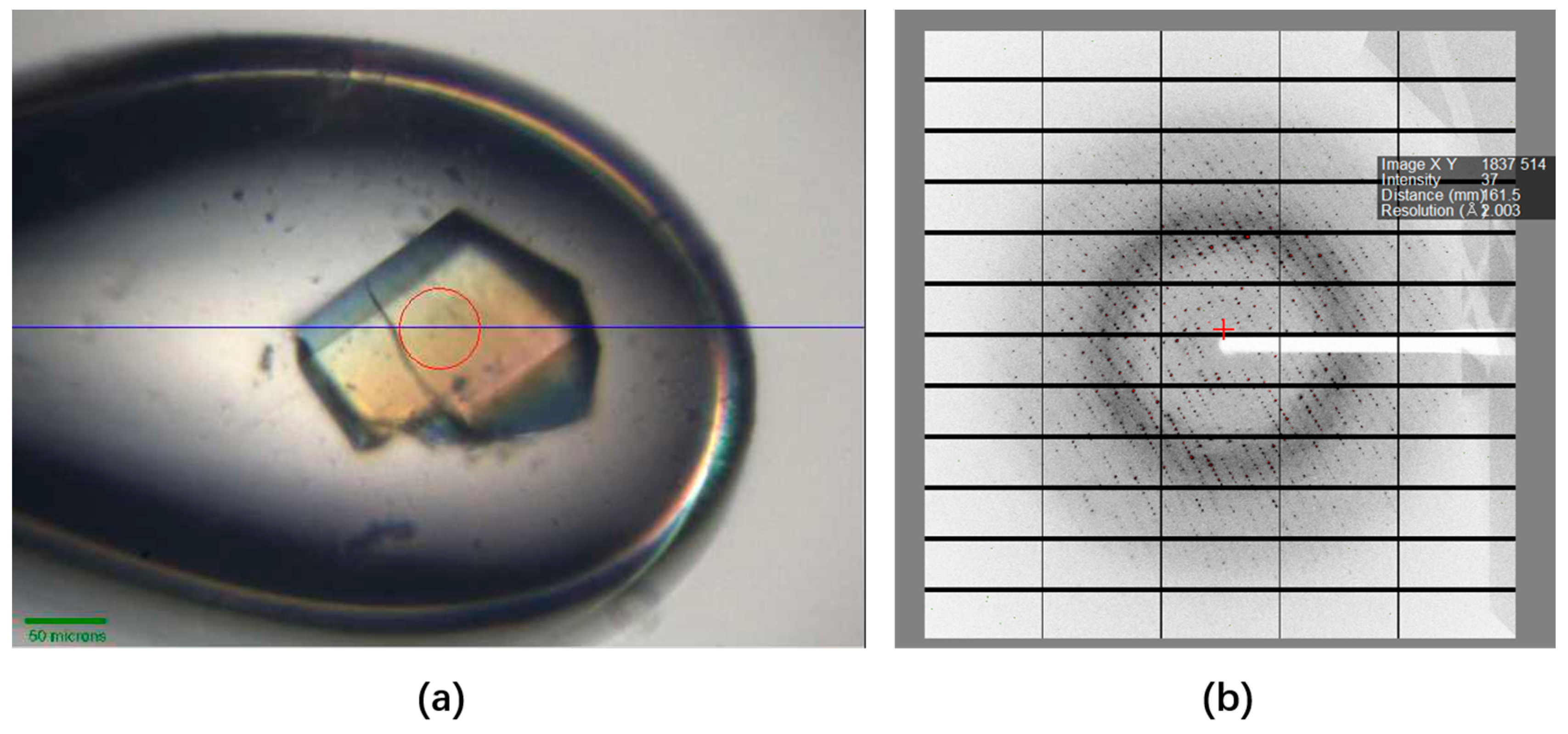 Crystals 14 00771 g001