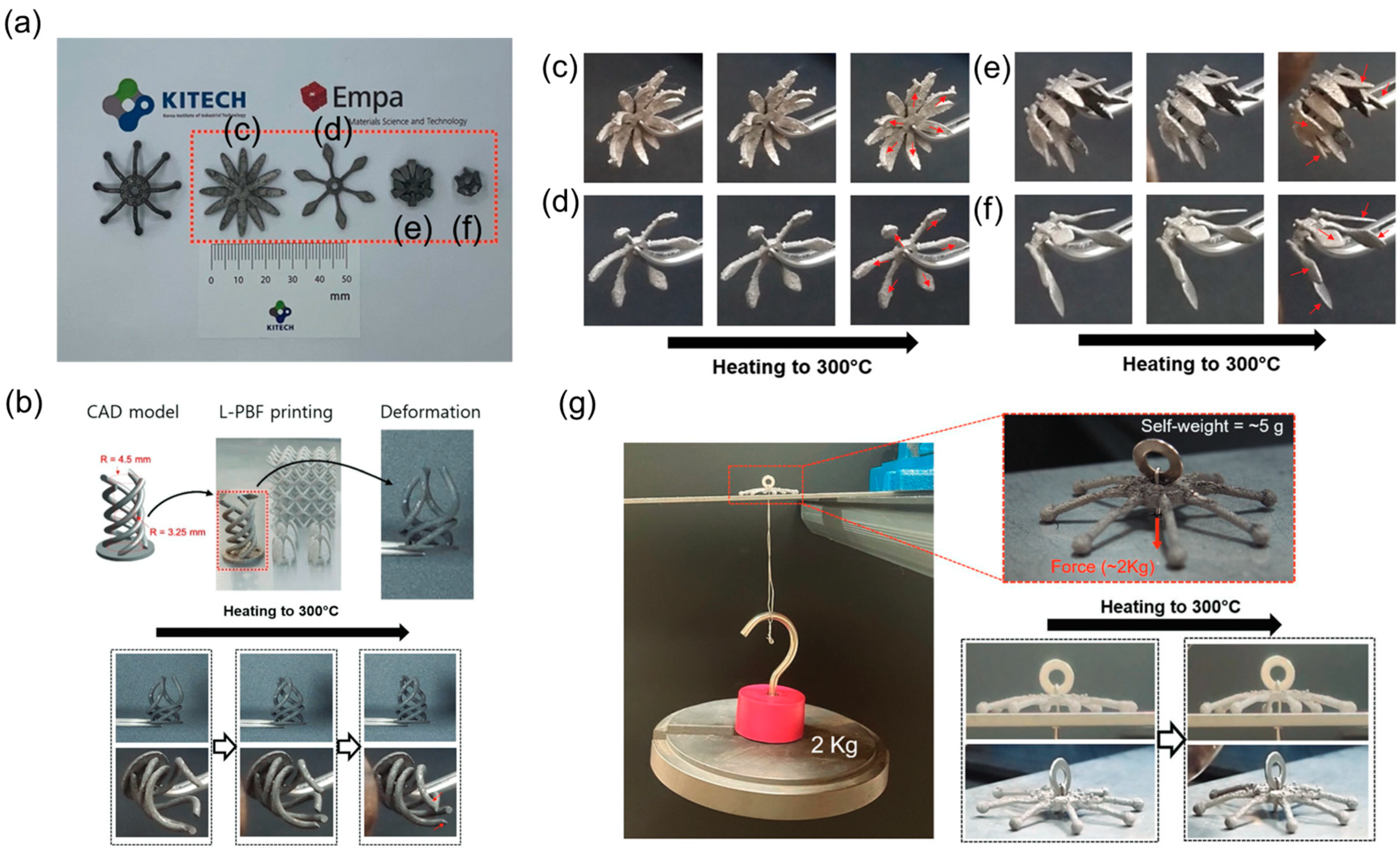 Crystals 14 00773 g003