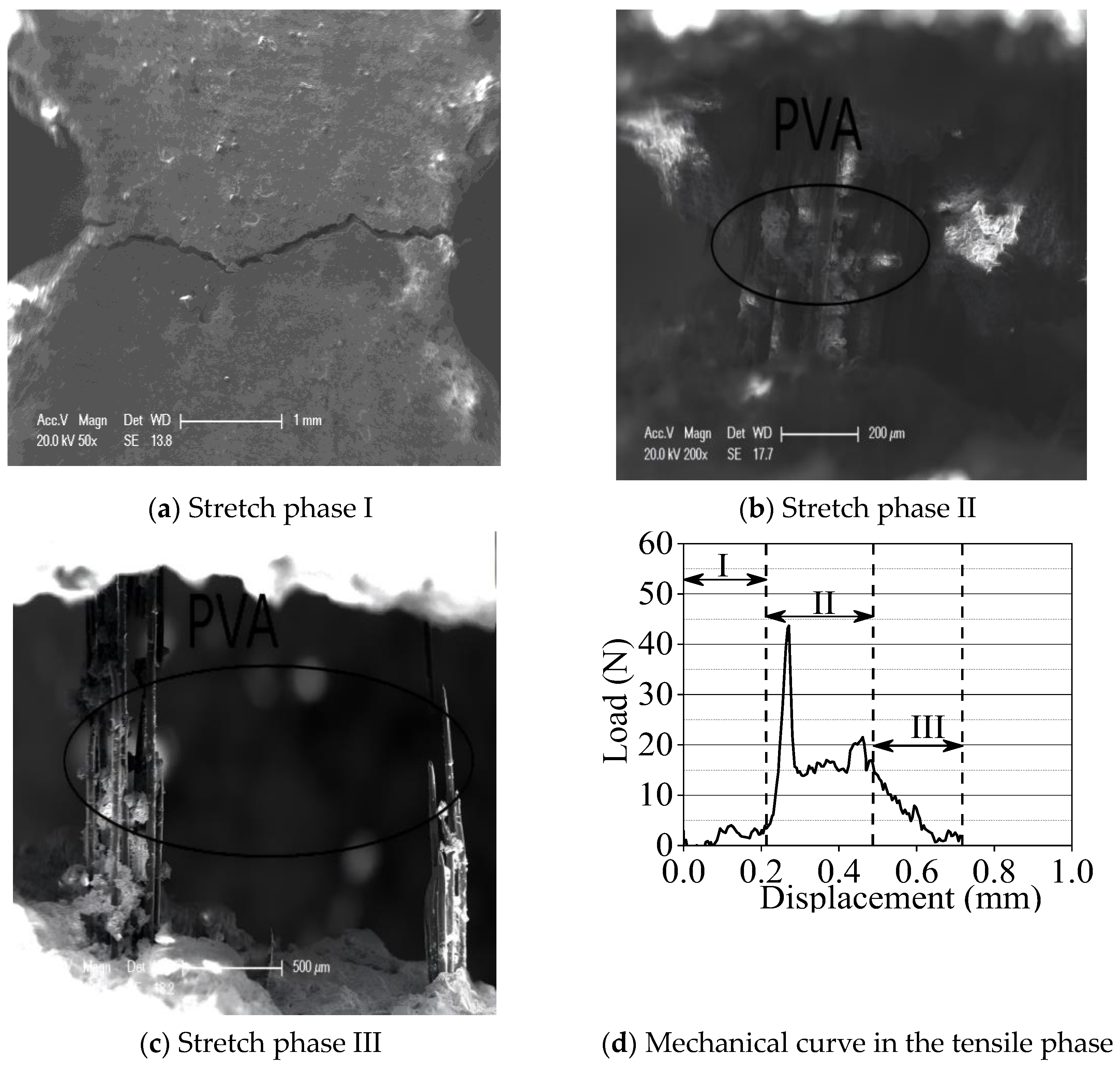 Crystals 14 00778 g008