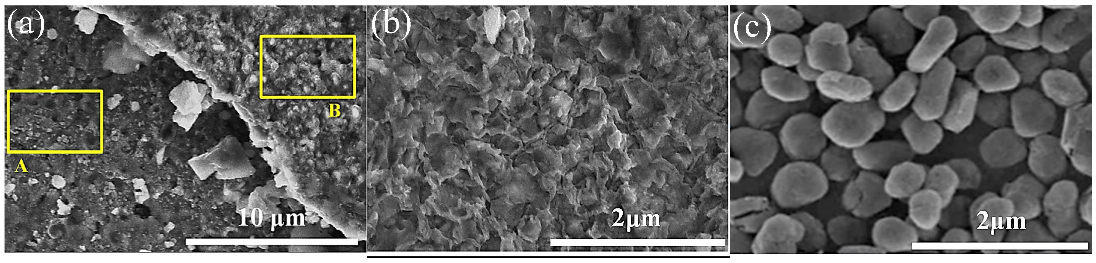 Crystals 14 00782 g010