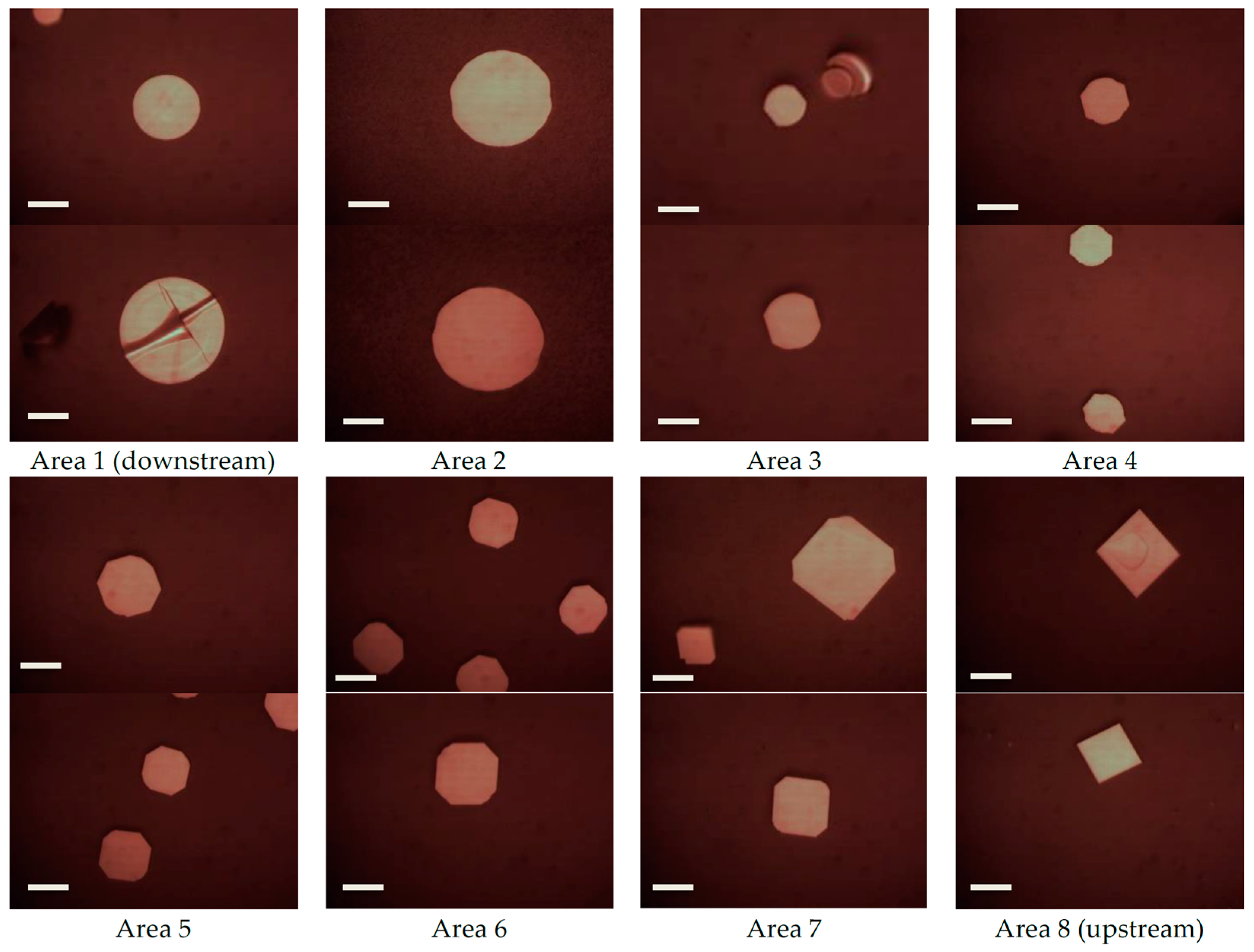 Crystals 14 00790 g004