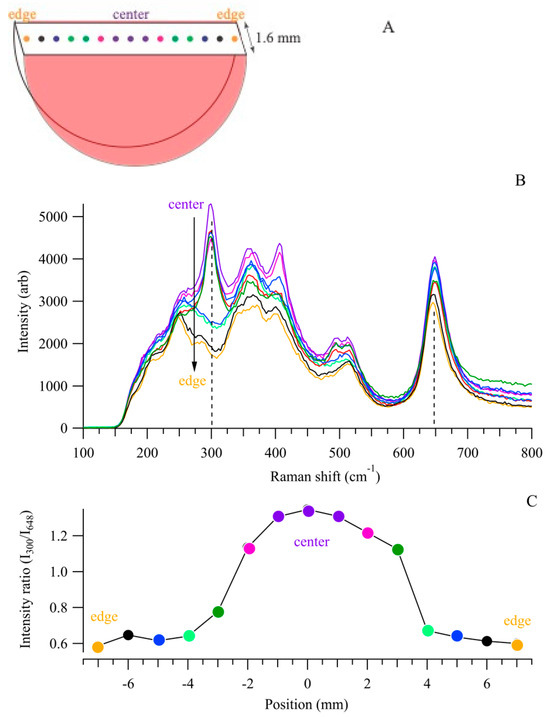 Mechanisms associated with pluripotency (WP1763) - Mus