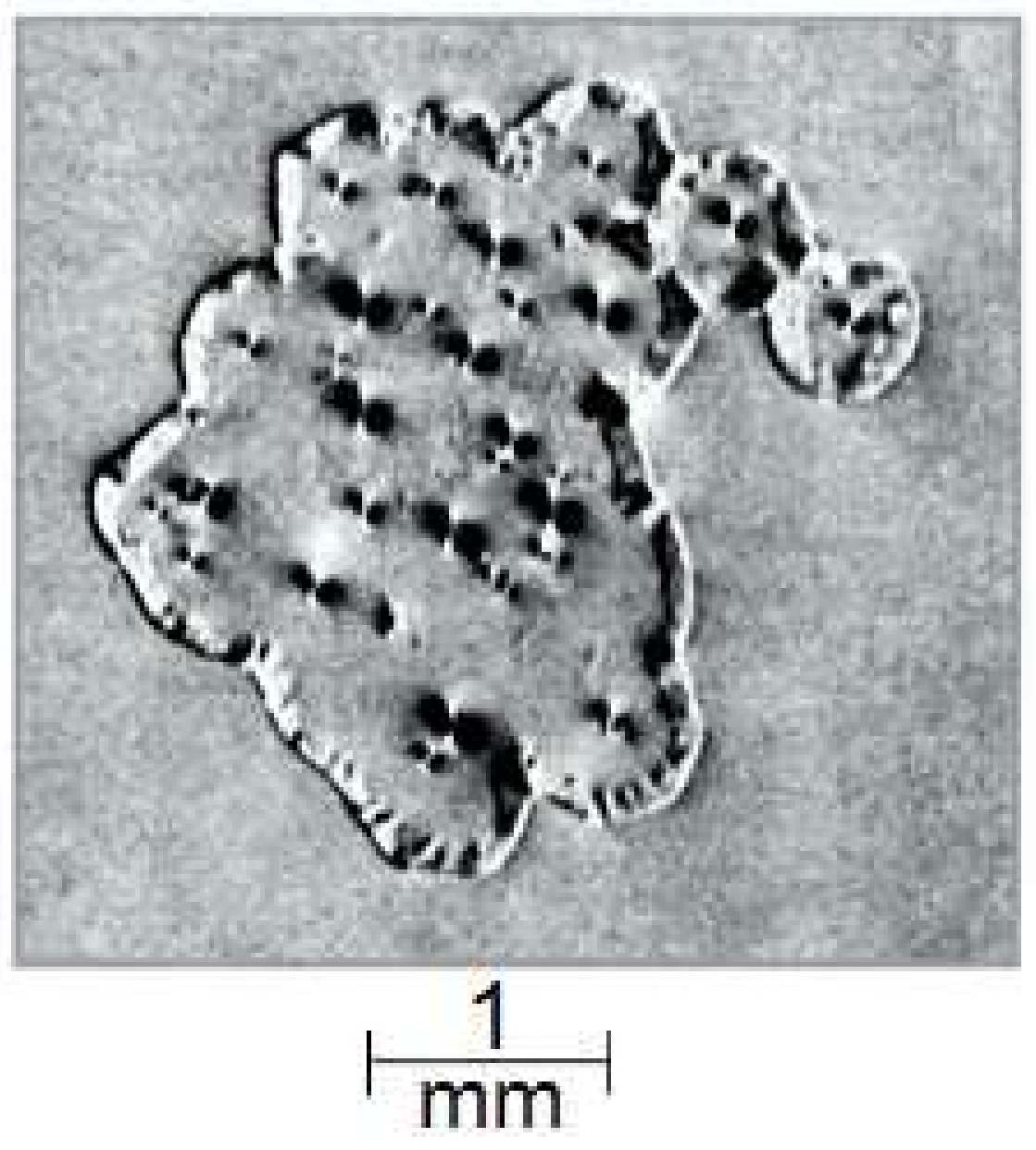 Crystals 14 00796 g007