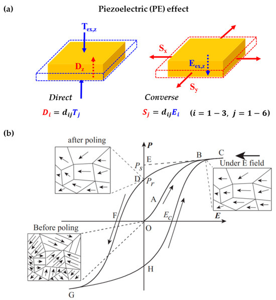 VS セット Ferroelectric/Piezoelectric Materials in Energy Harvesting