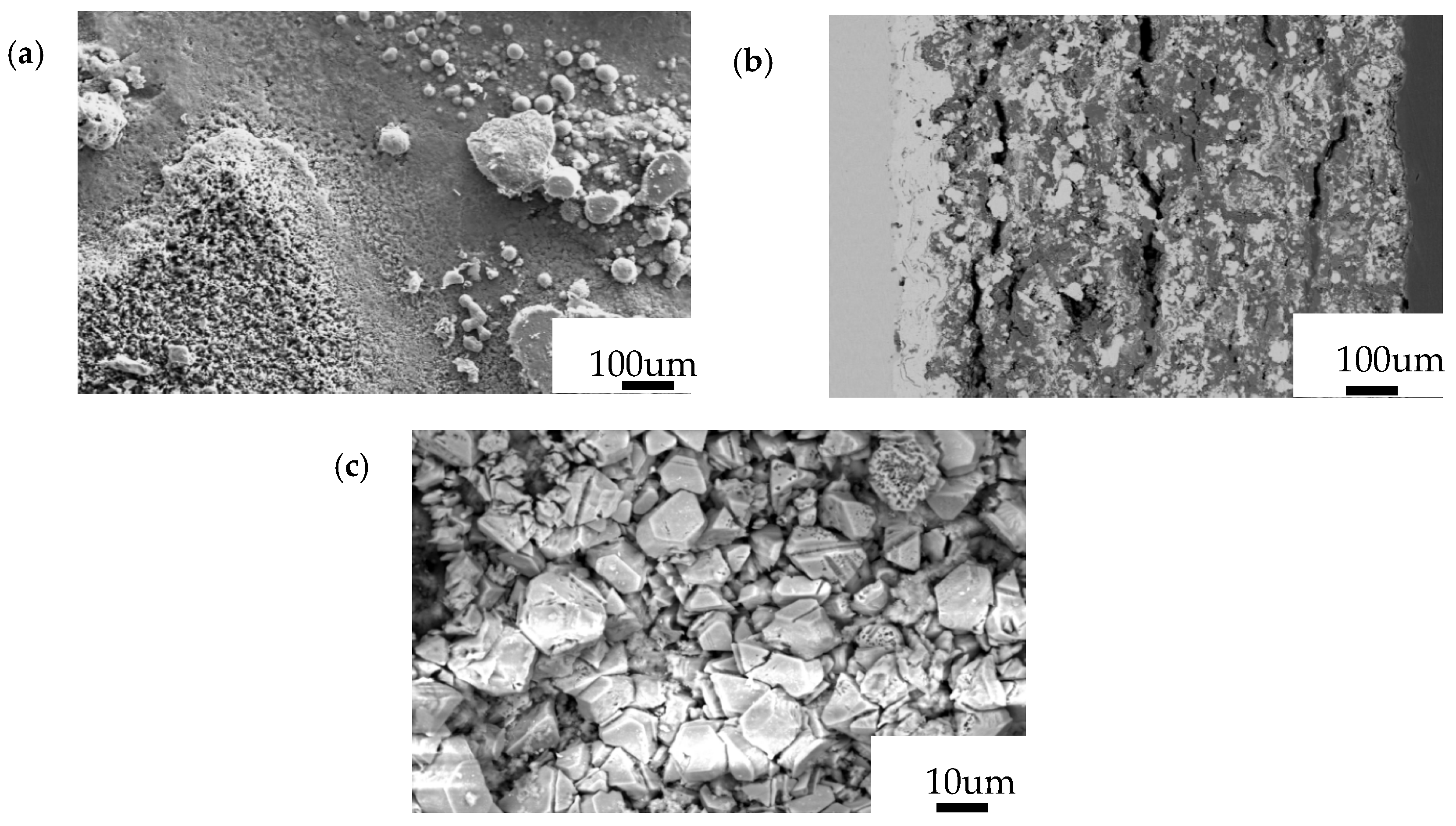 Crystals 14 00808 g004