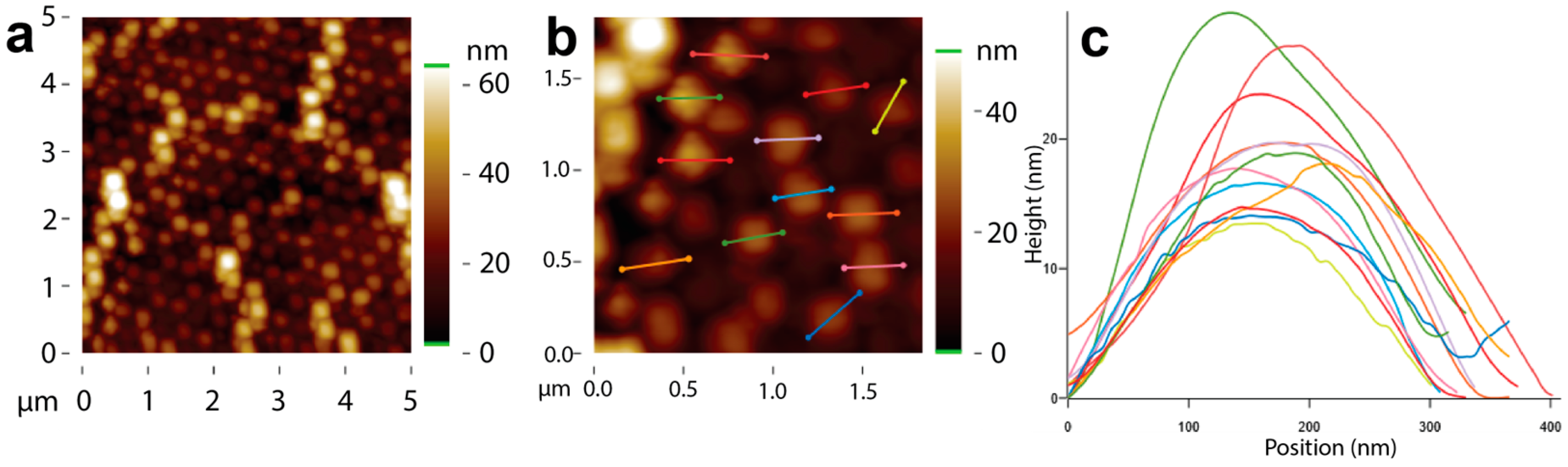 Crystals 14 00828 g009