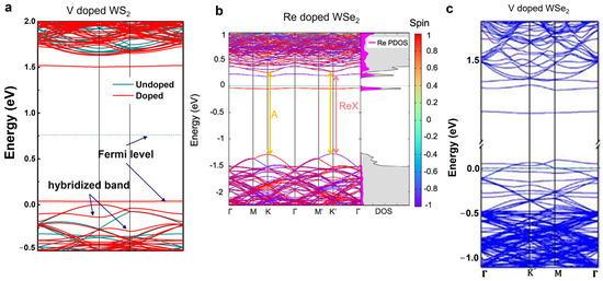 Doped, Two-Dimensional, Semiconducting Transition Metal
