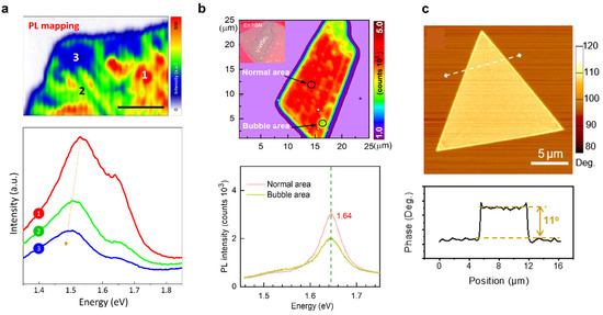 Doped, Two-Dimensional, Semiconducting Transition Metal