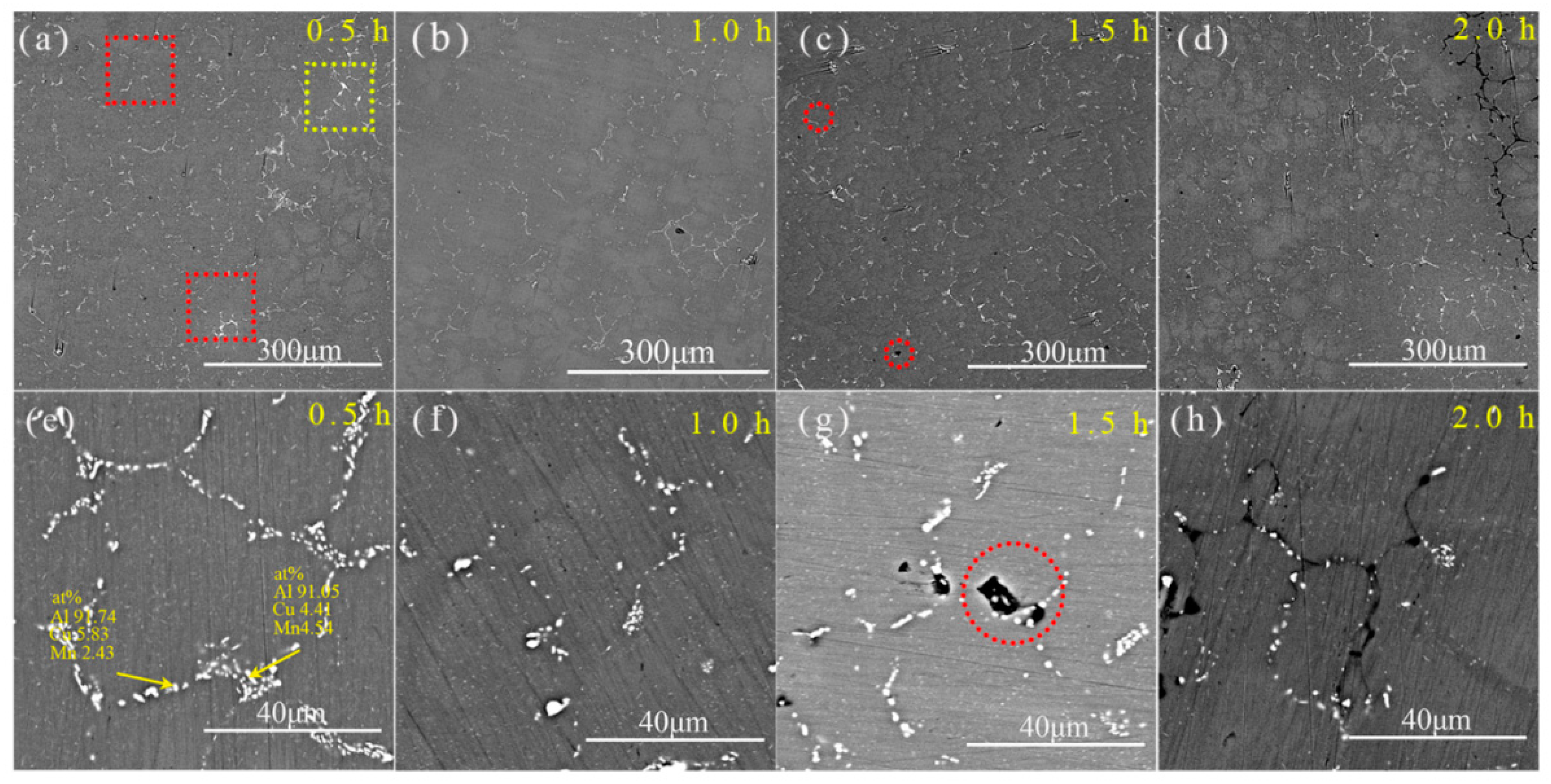 Crystals 14 00836 g006 Crystals 14 00836 g006