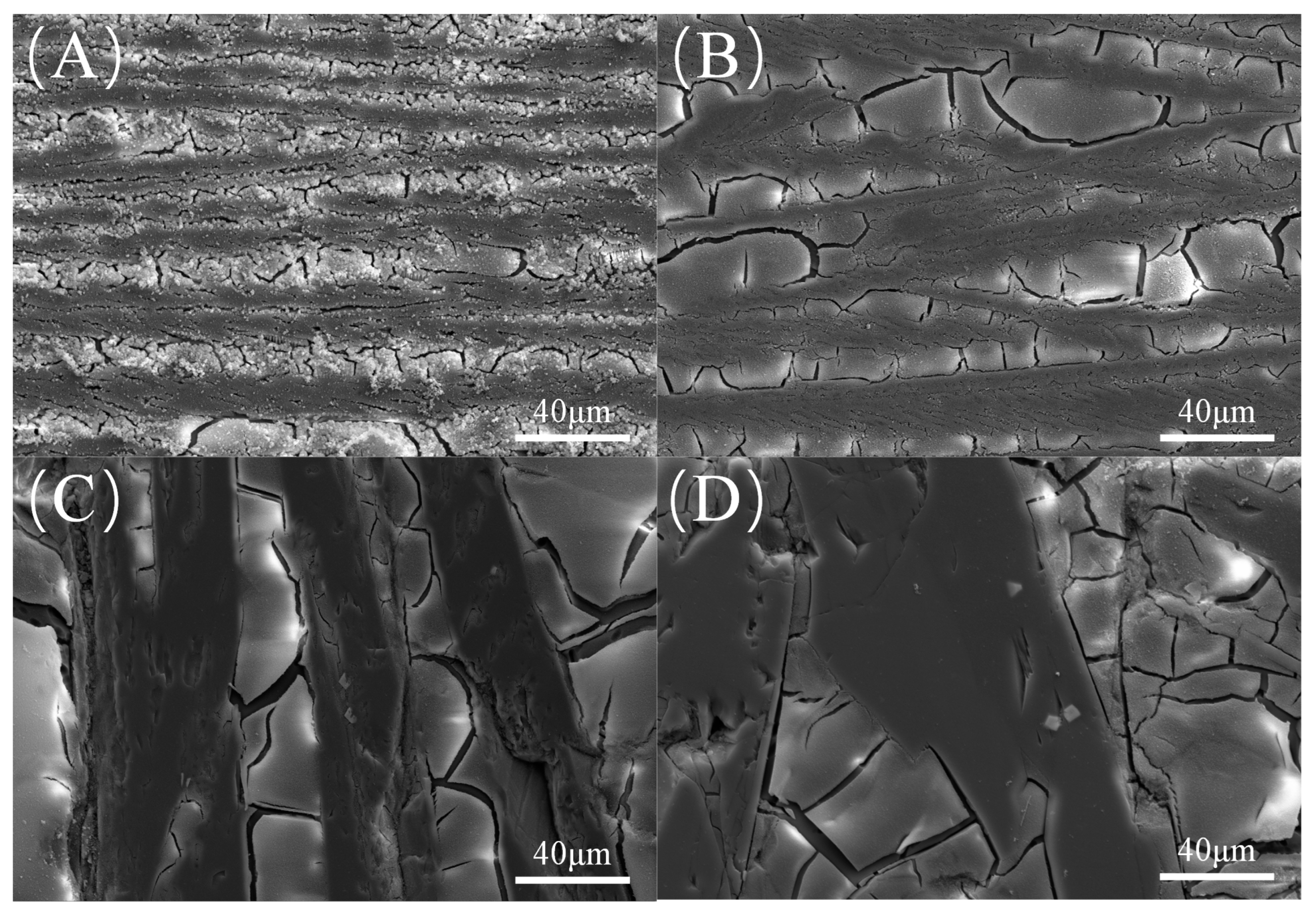 Crystals 14 00841 g006