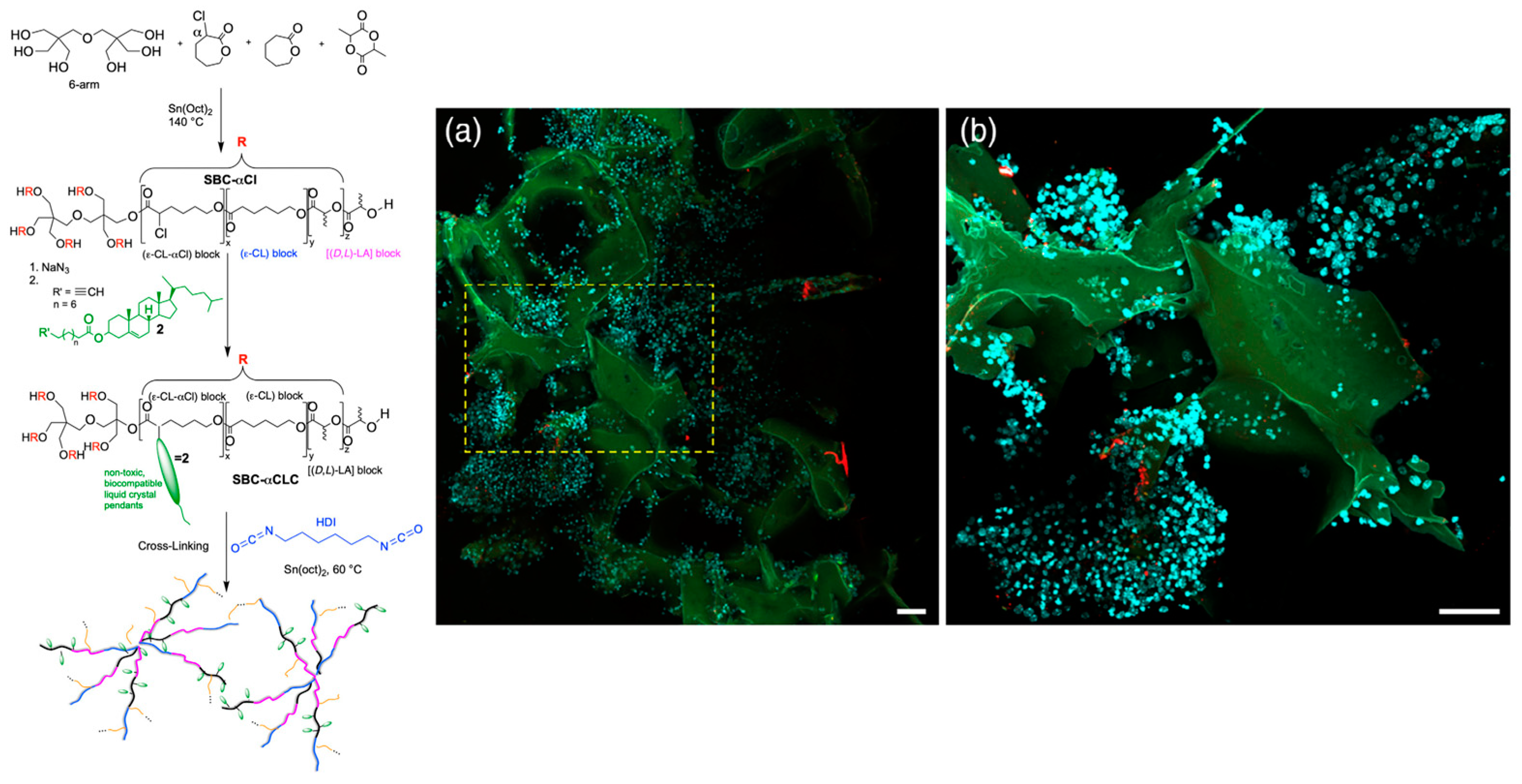 Crystals 14 00859 g001 Crystals 14 00859 g001