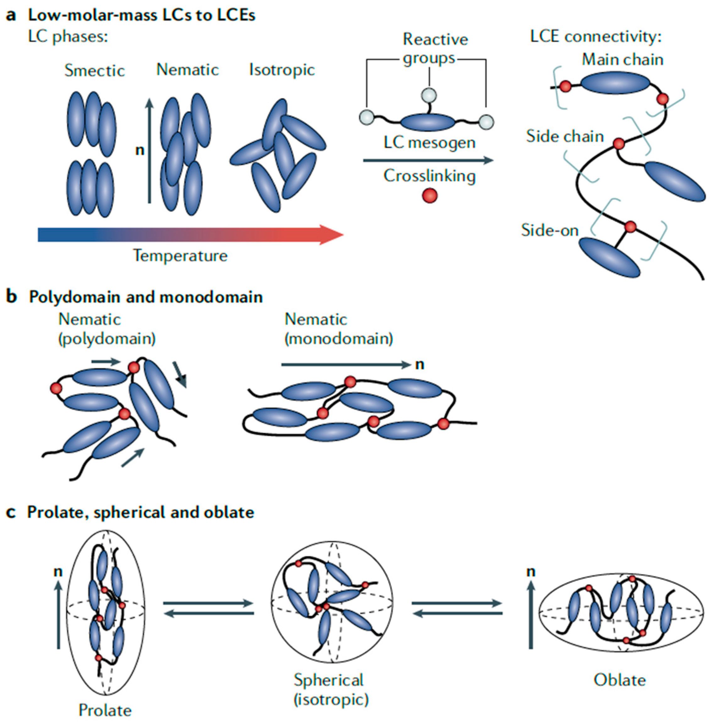 Crystals 14 00859 g002 Crystals 14 00859 g002