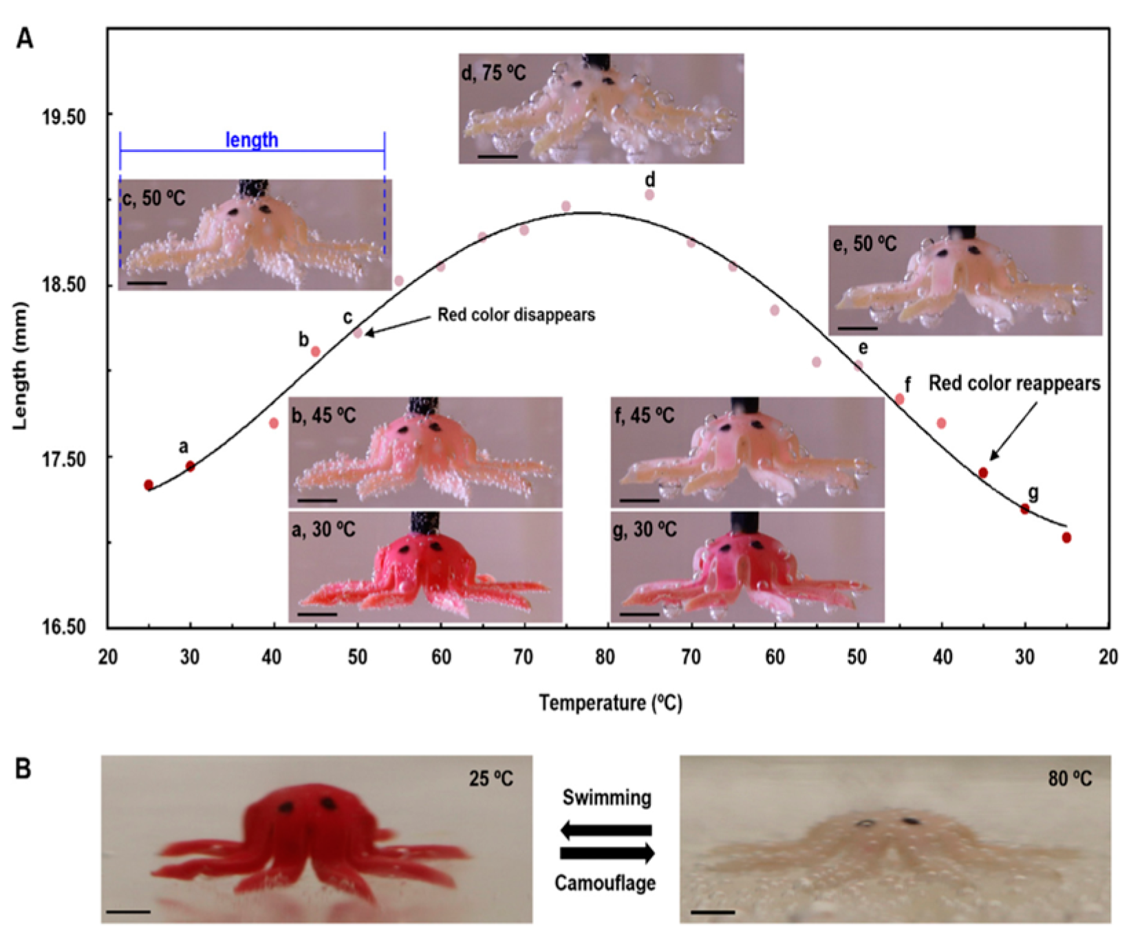 Crystals 14 00859 g006 Crystals 14 00859 g006