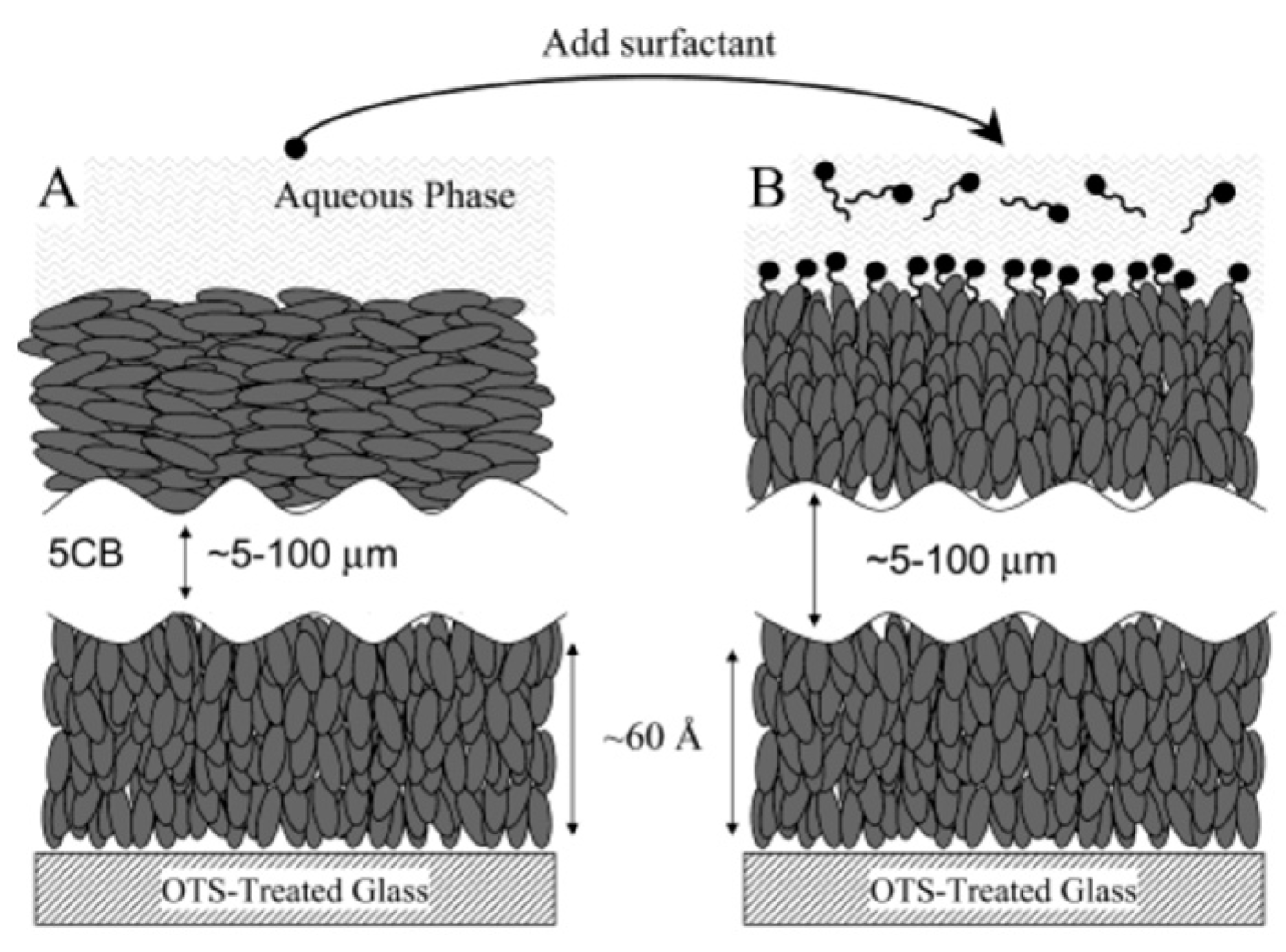 Crystals 14 00859 g008 Crystals 14 00859 g008