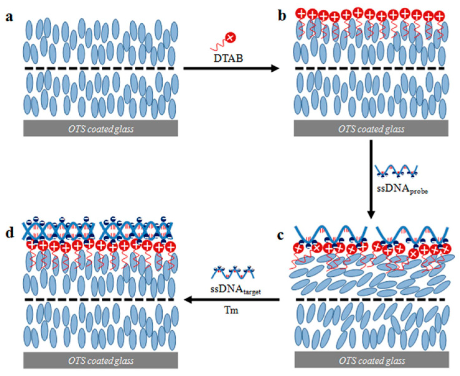 Crystals 14 00859 g009 Crystals 14 00859 g009