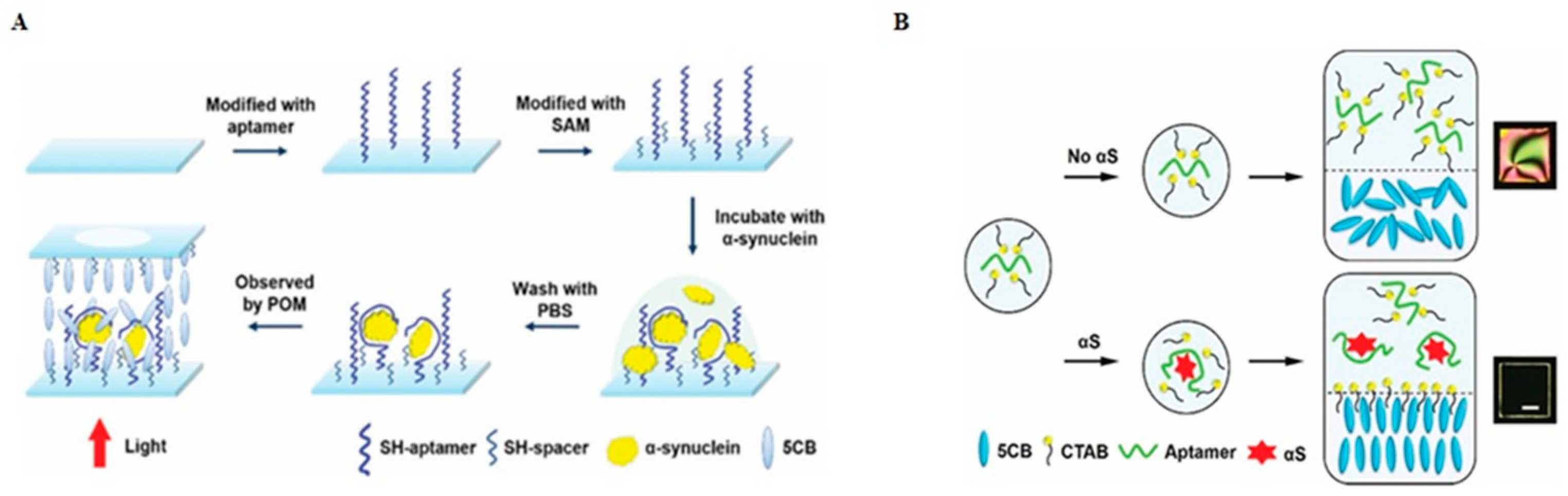Crystals 14 00859 g012 Crystals 14 00859 g012