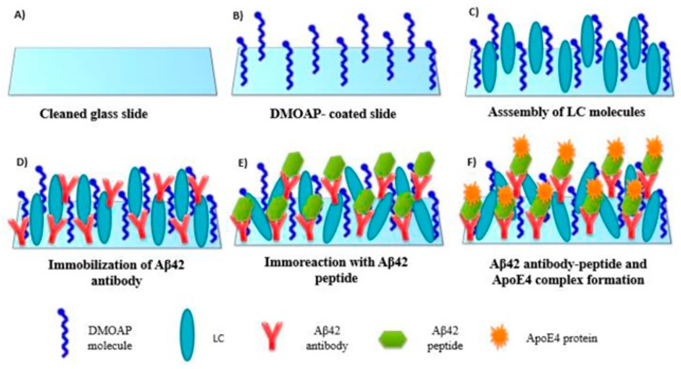 Crystals 14 00859 g013 Crystals 14 00859 g013