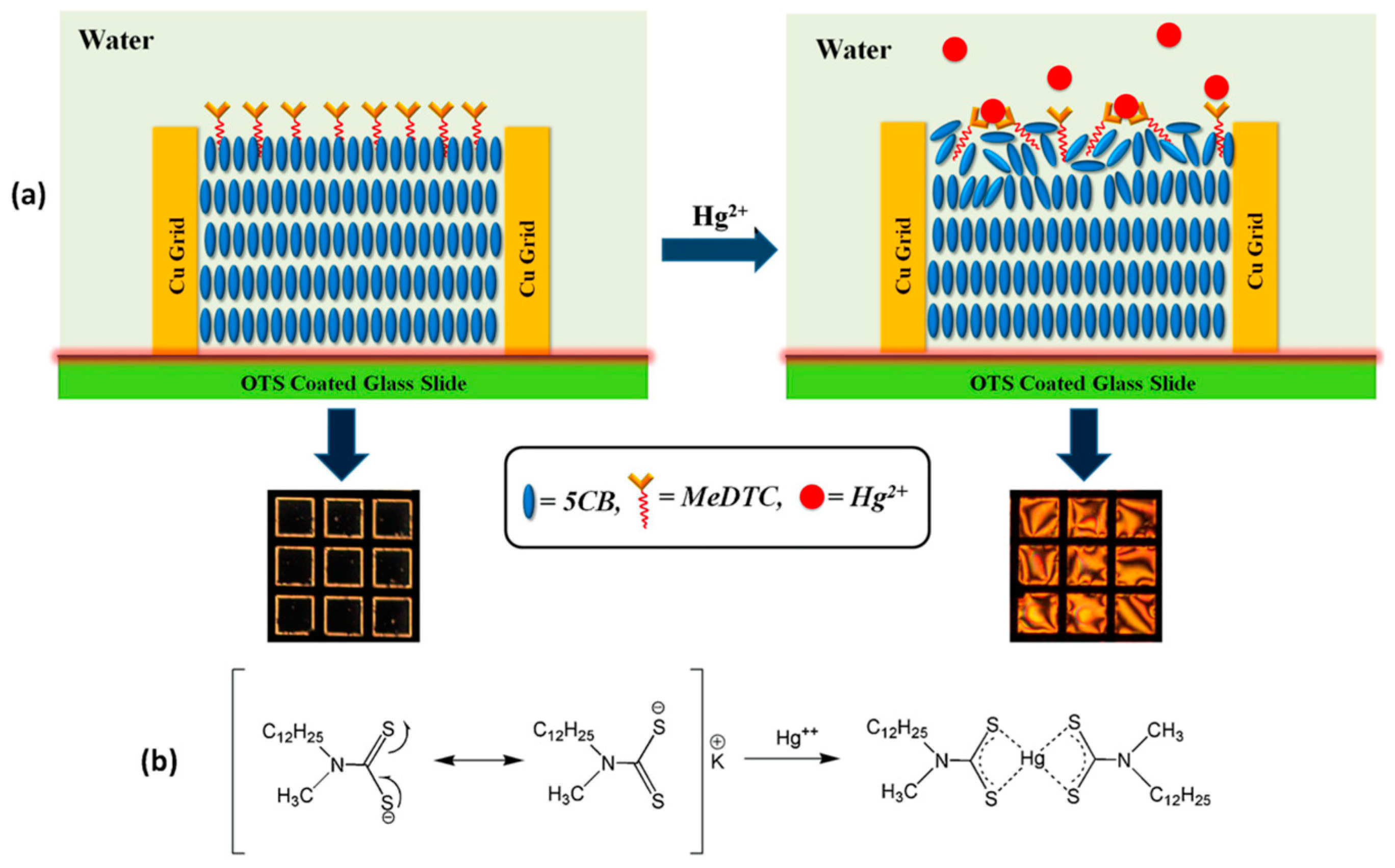 Crystals 14 00859 g015 Crystals 14 00859 g015