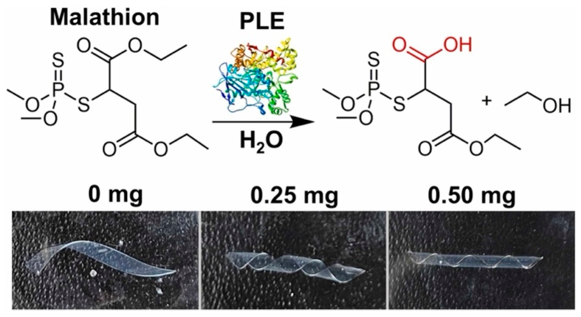 Crystals 14 00859 g018 Crystals 14 00859 g018