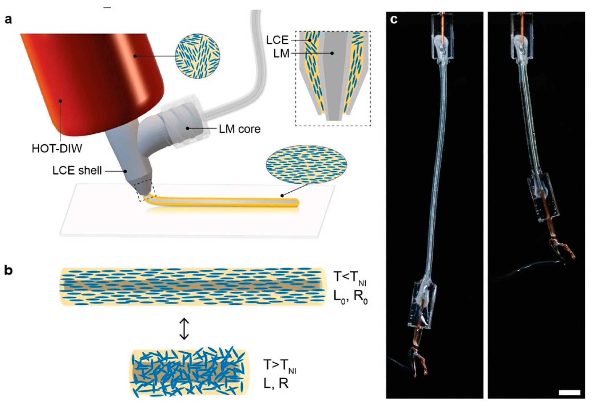 Crystals 14 00859 g019 Crystals 14 00859 g019