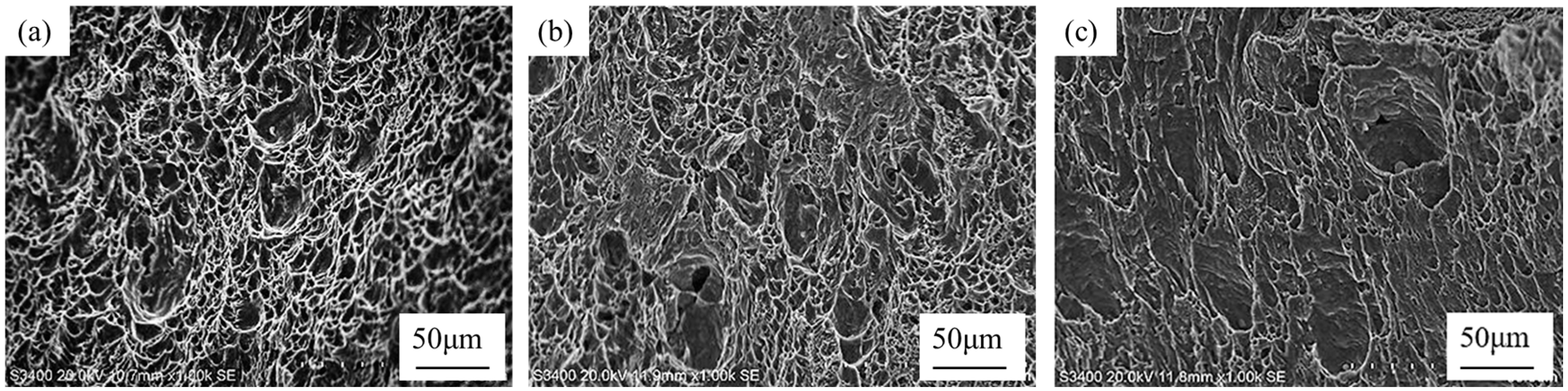 Crystals 14 00863 g015