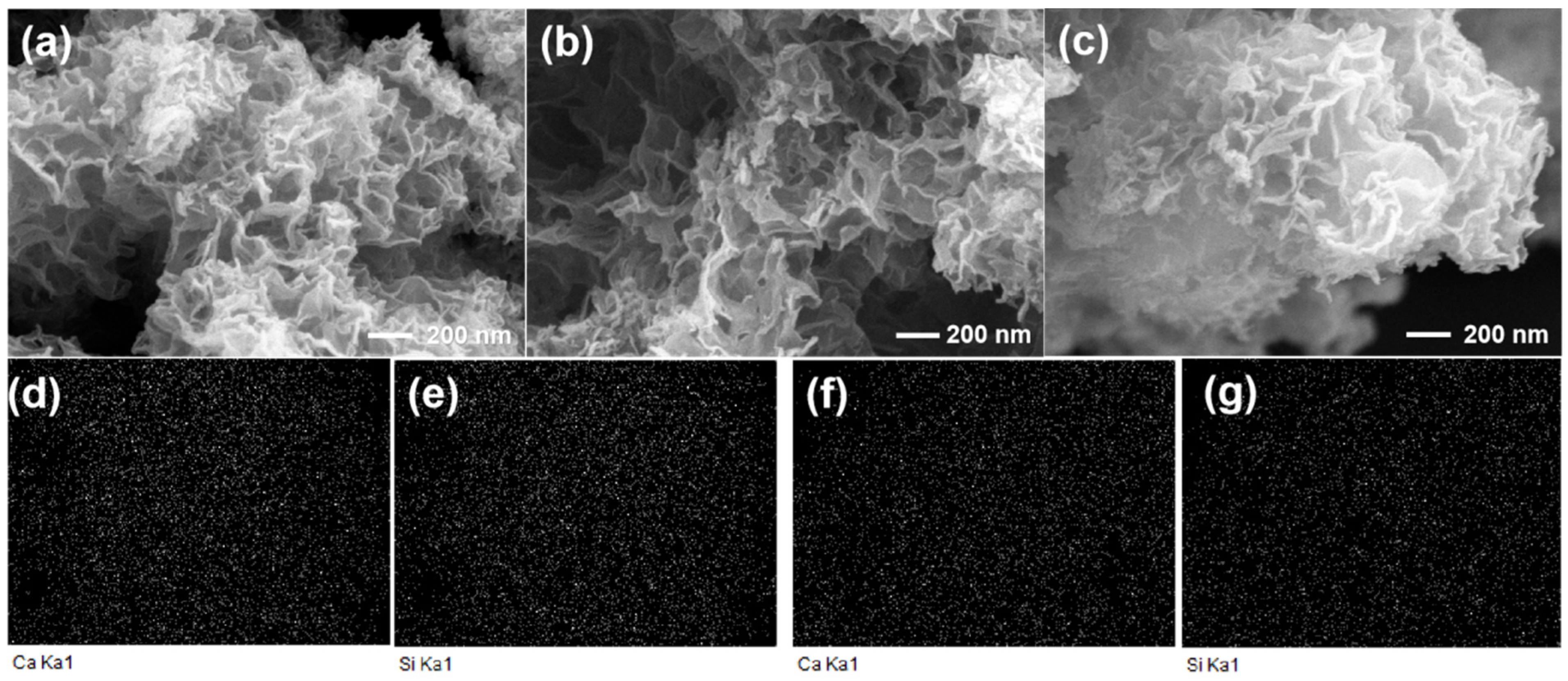 Crystals 14 00864 g007