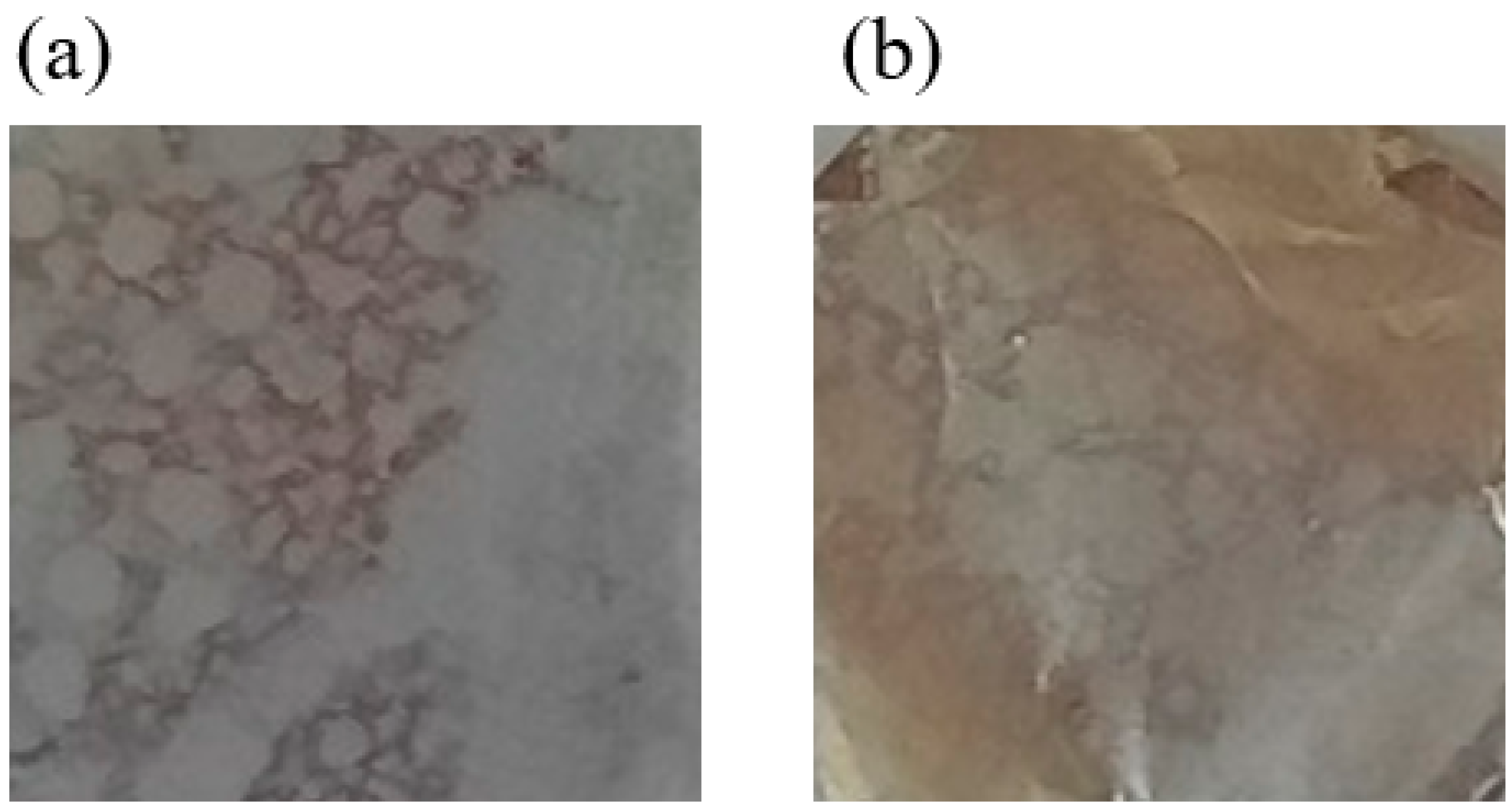 Crystals 14 00875 g005