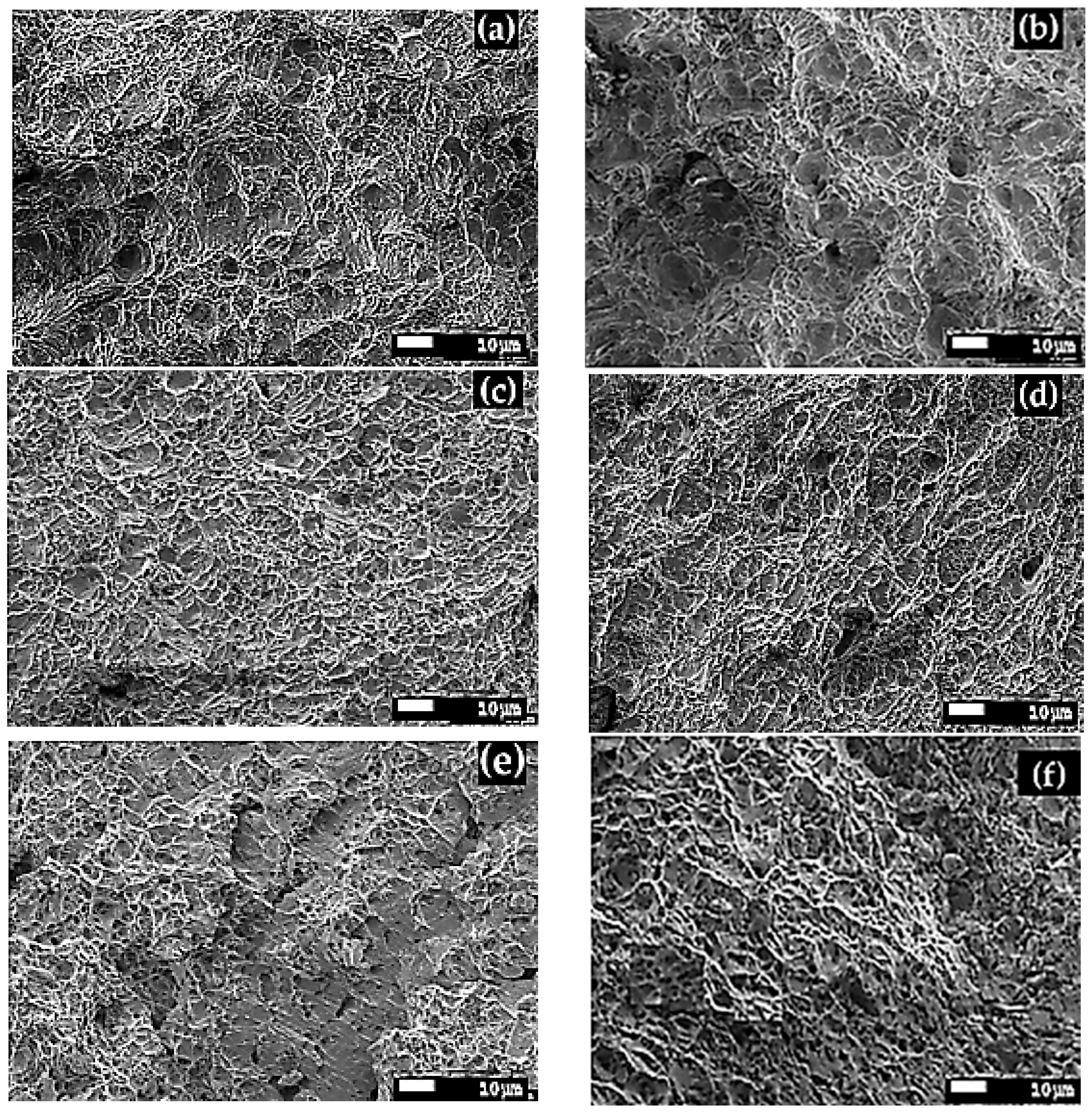 Crystals 14 00902 g010