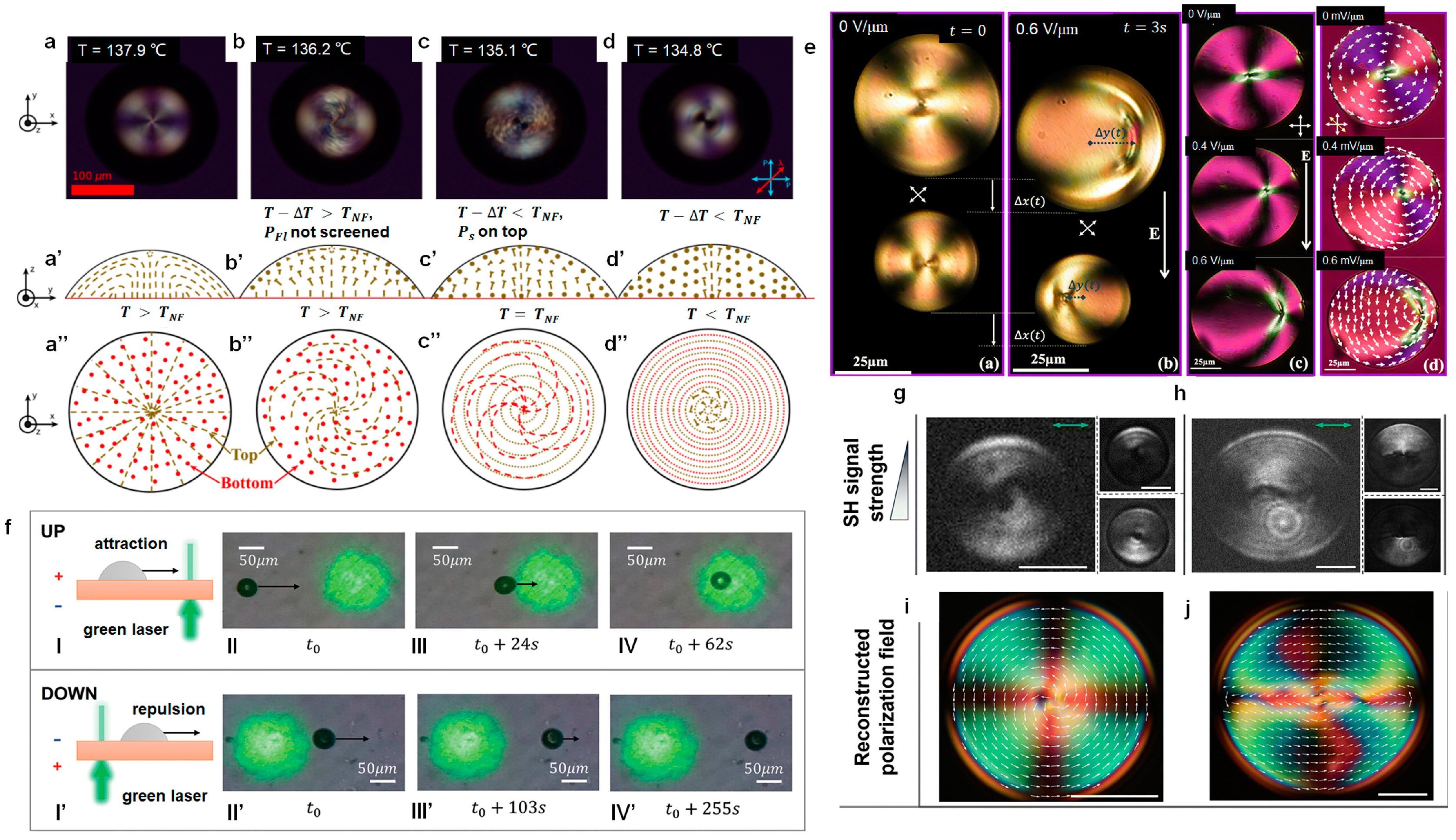 Crystals 14 00934 g006