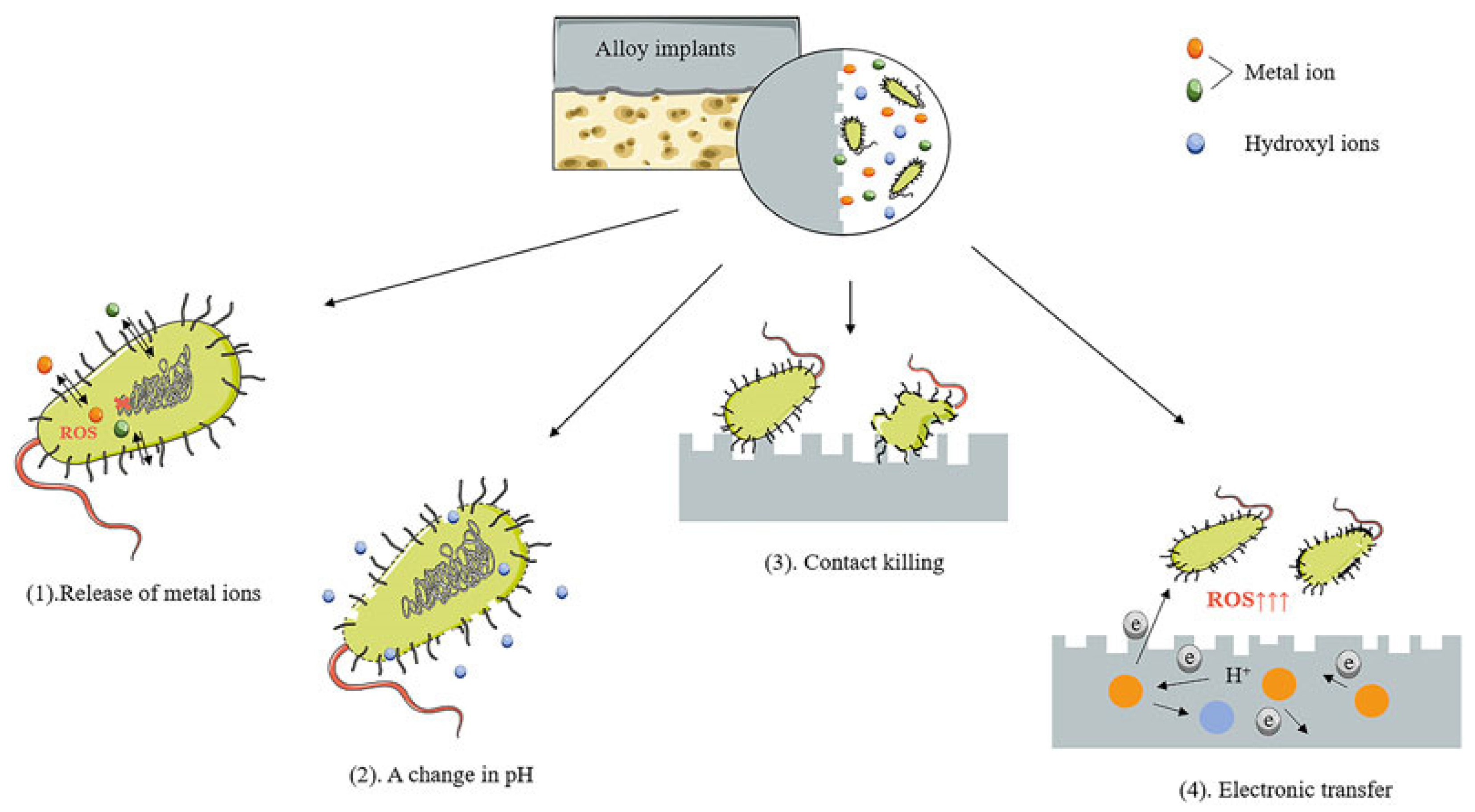 Crystals 14 00939 g011 Crystals 14 00939 g011