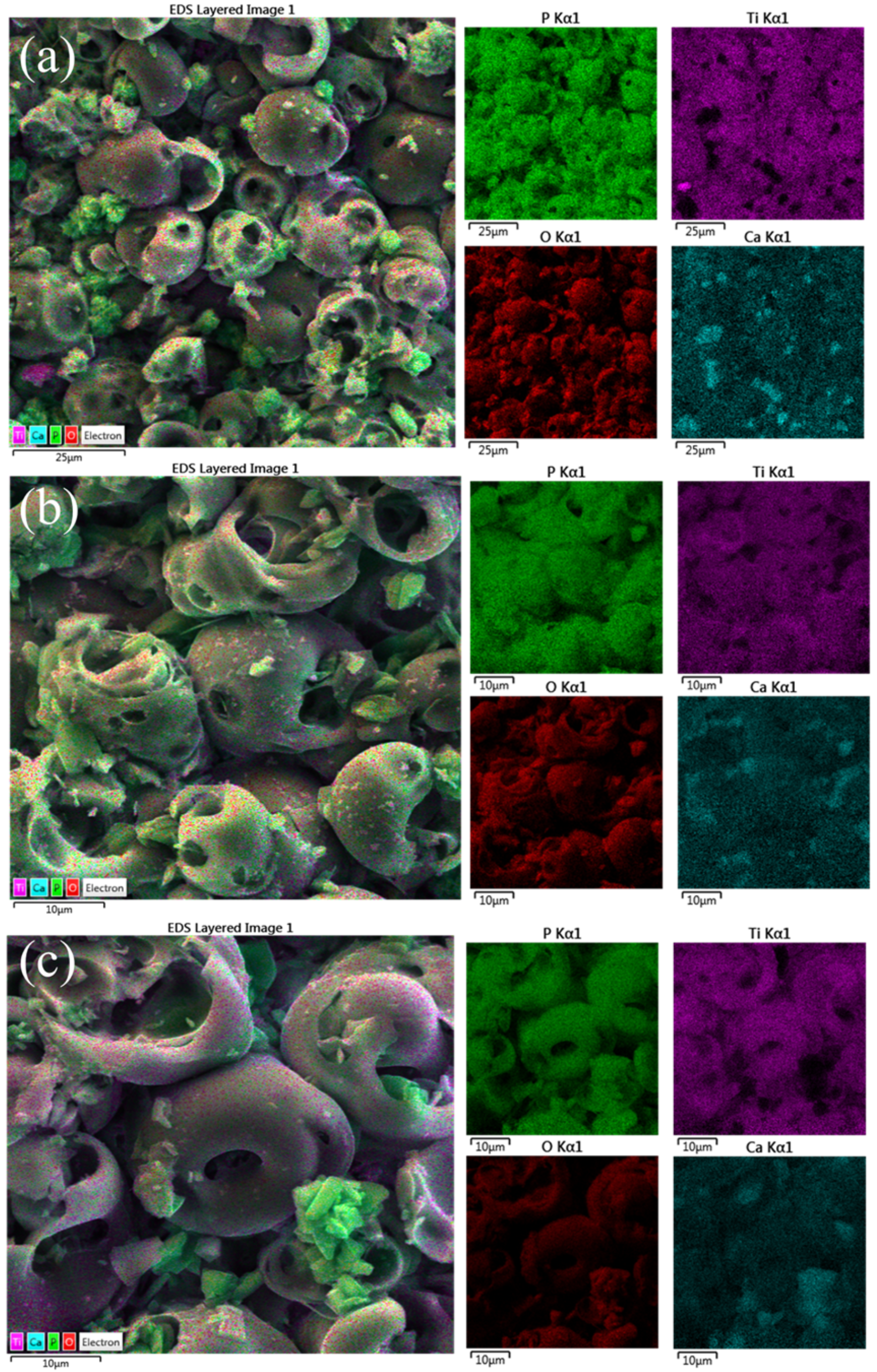 Crystals 14 00945 g004