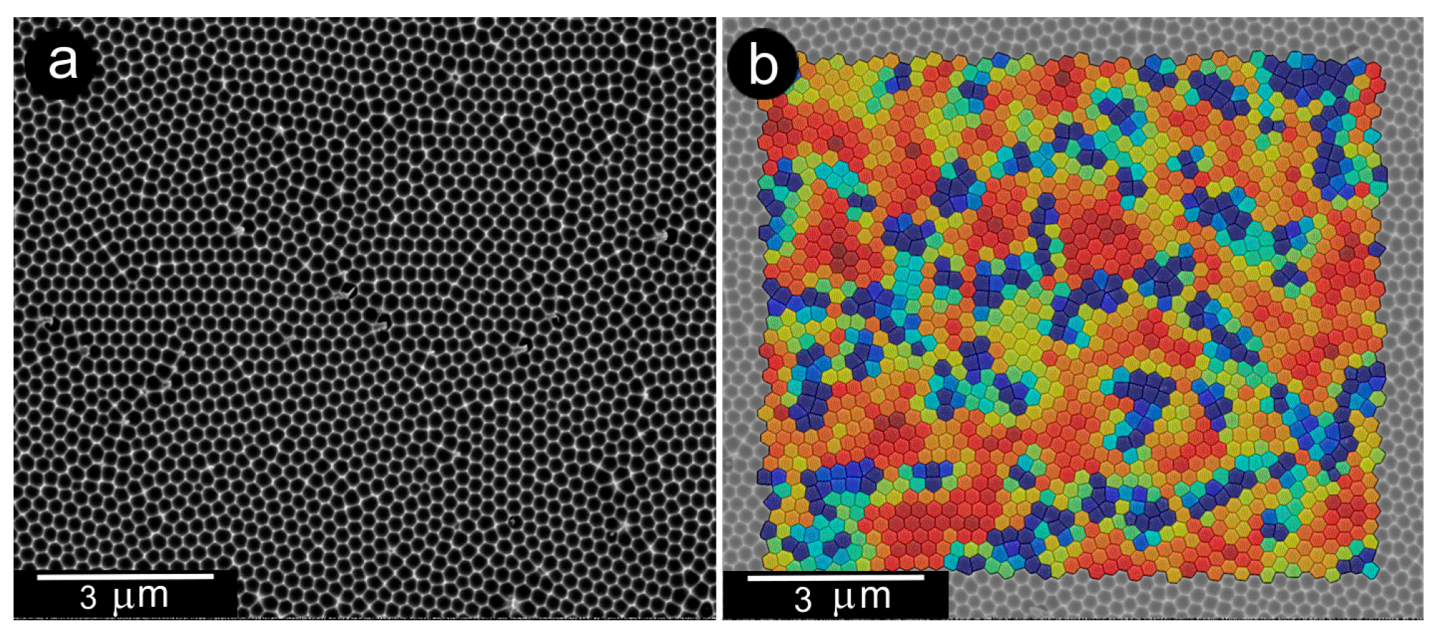 Crystals 14 00953 g006