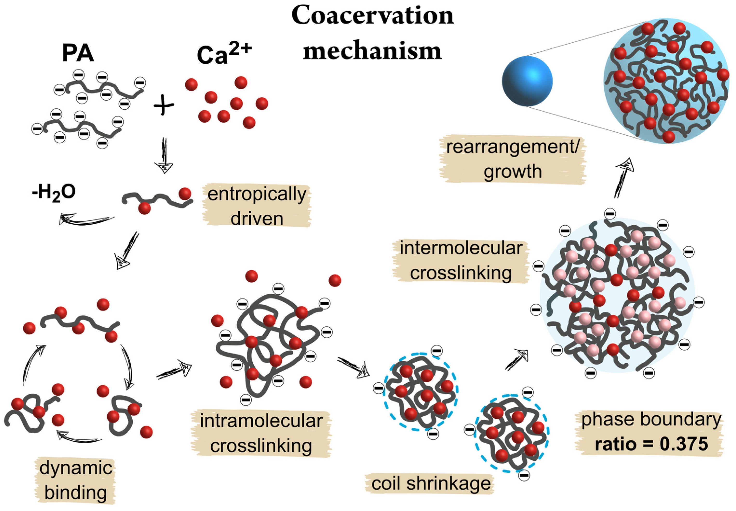 Crystals 14 00959 g005