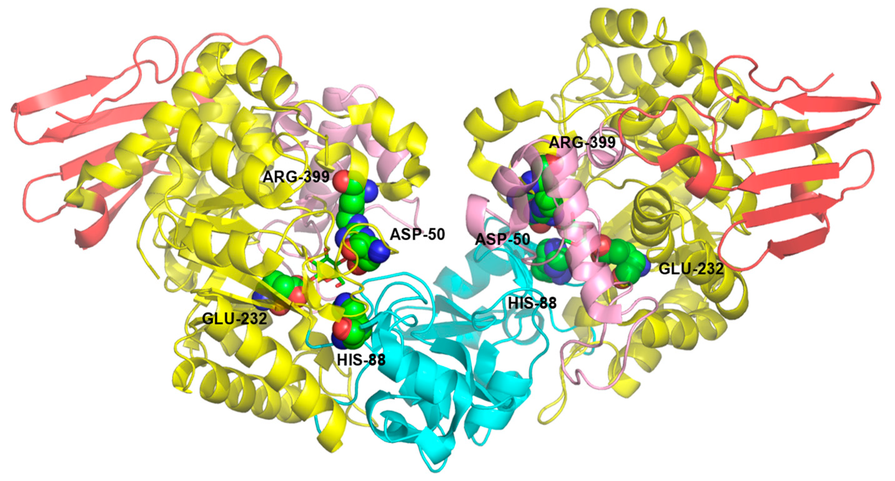 Crystals 14 00972 g002