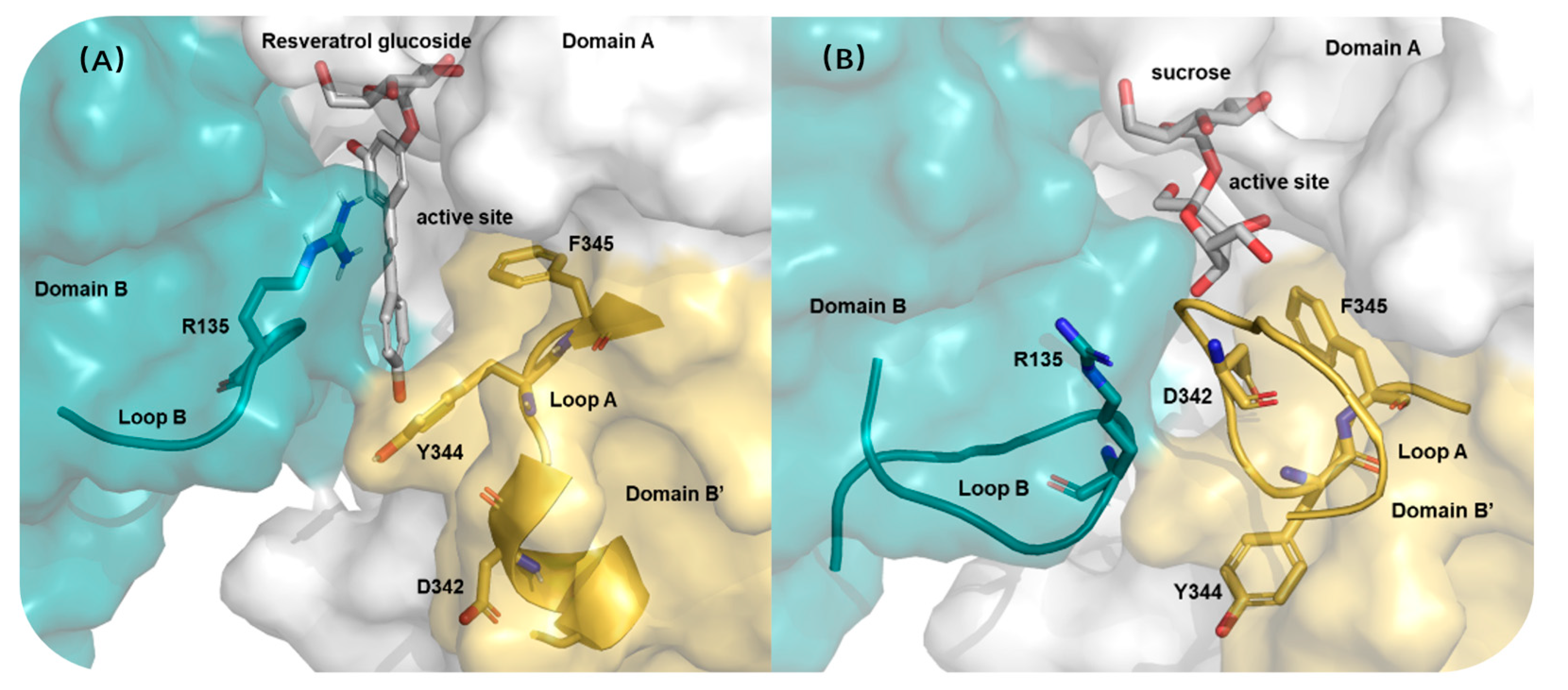 Crystals 14 00972 g012