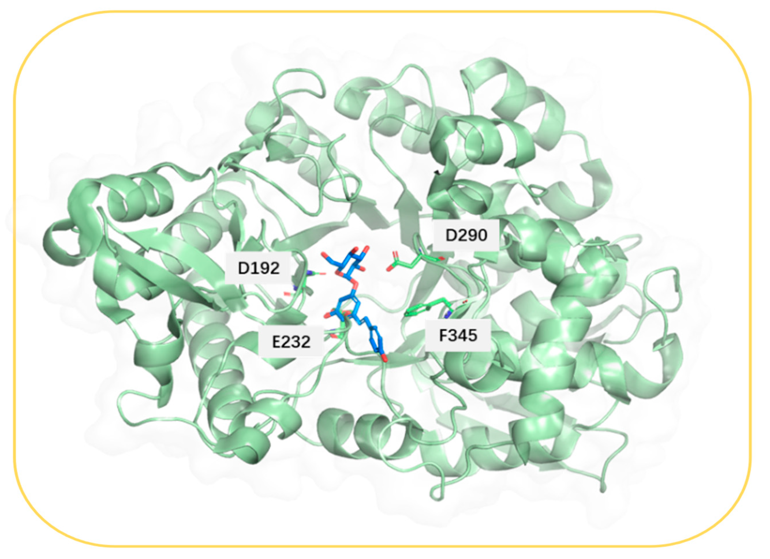 Crystals 14 00972 g013