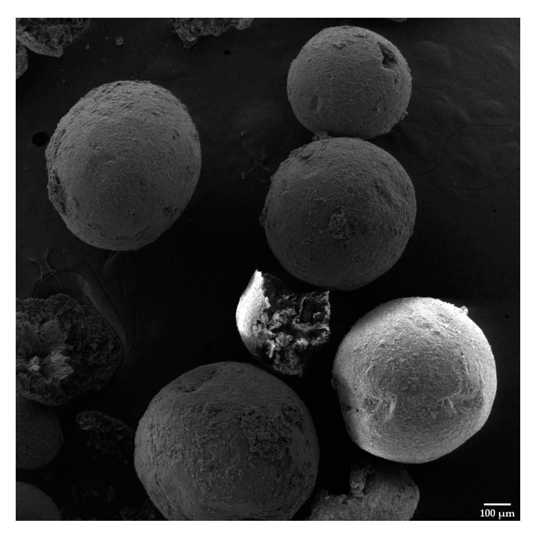 Crystals 14 00975 g003