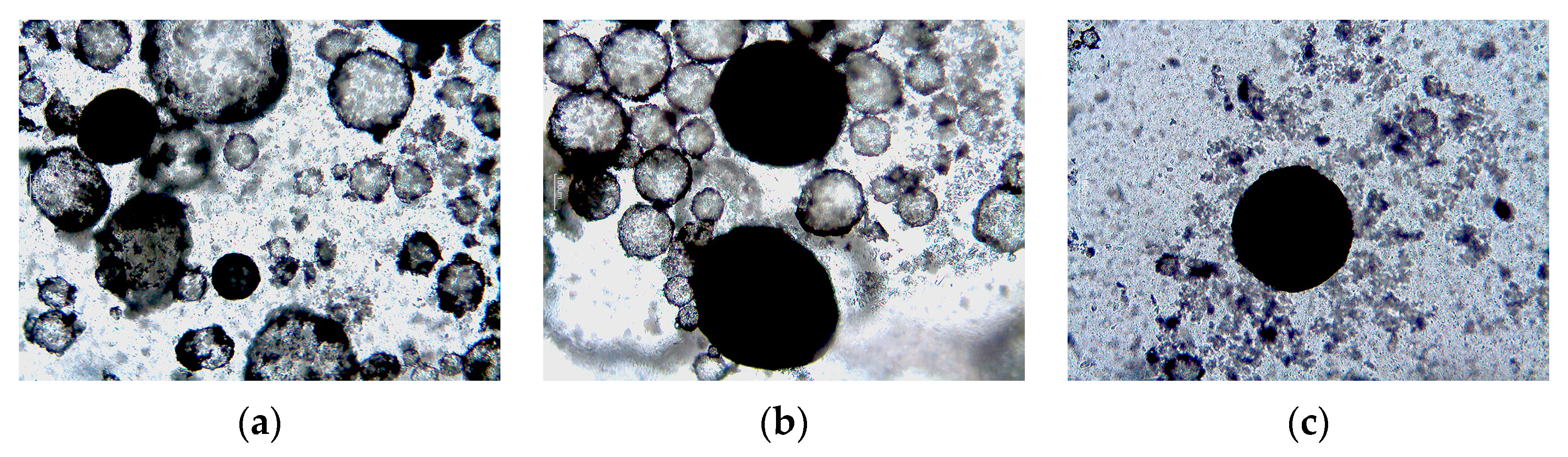 Crystals 14 00975 g004