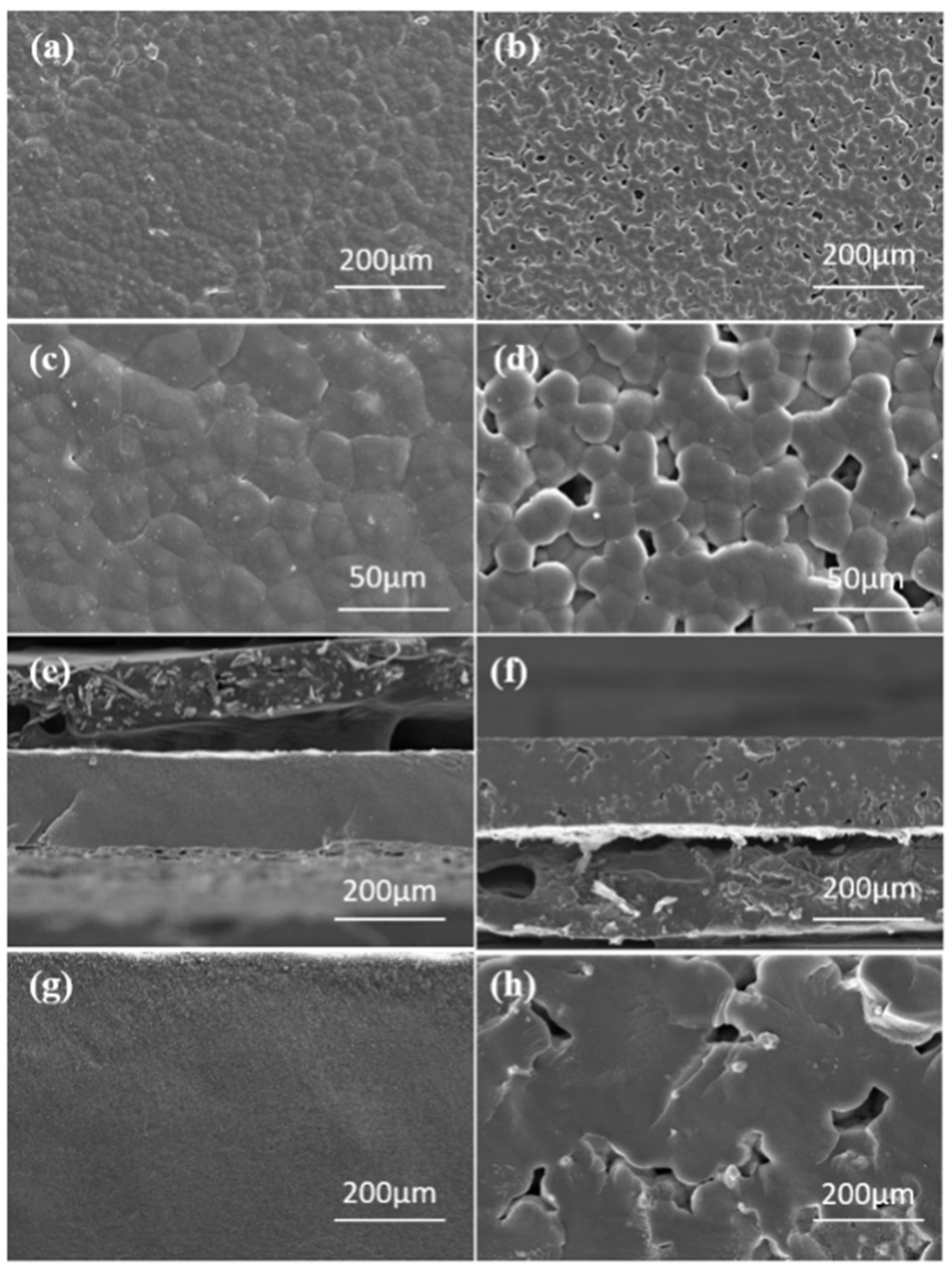 Crystals 14 00982 g003