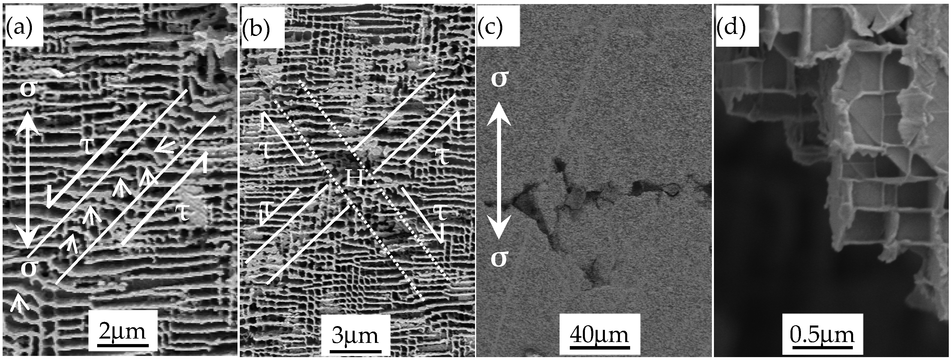 Crystals 14 00983 g006