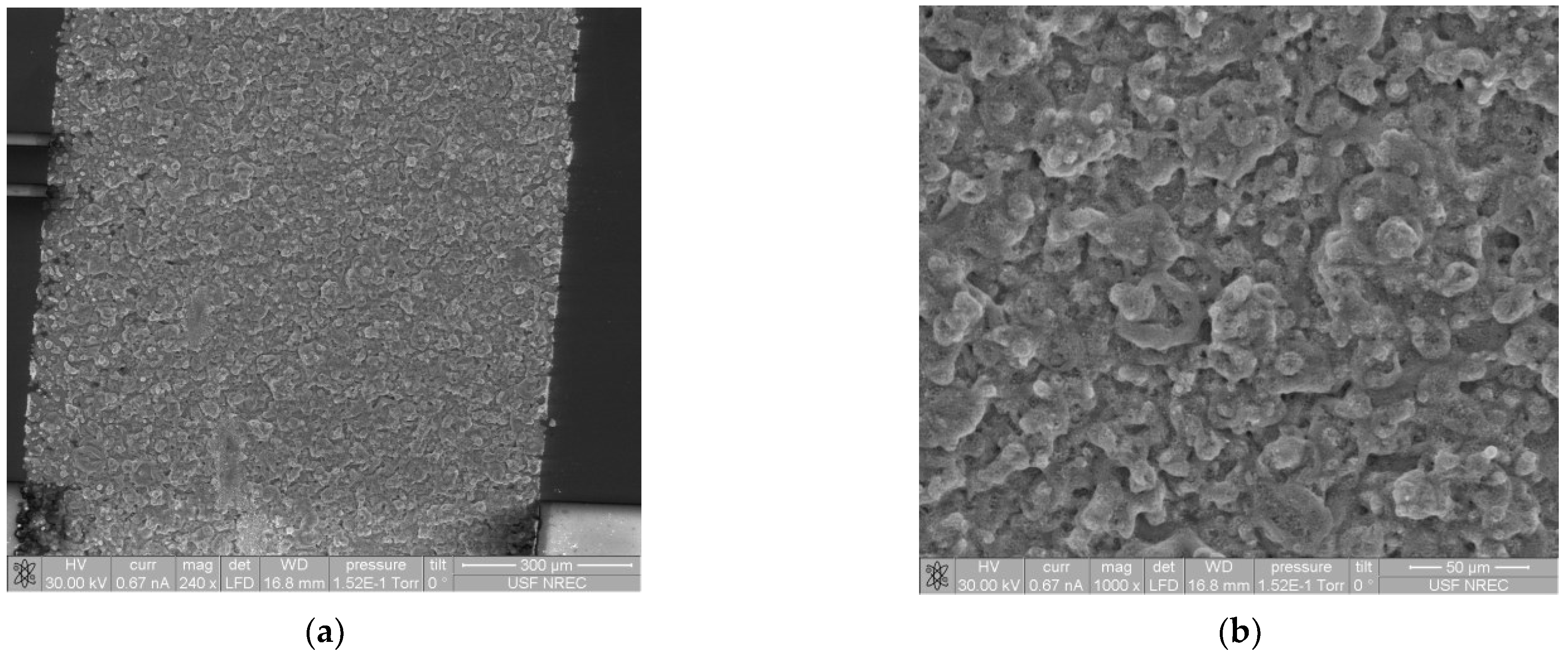 Crystals 14 00990 g009a