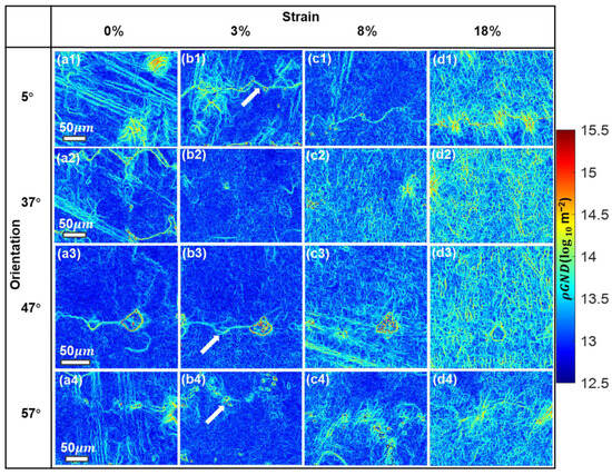 Effects of Temperature and Secondary Orientations on the