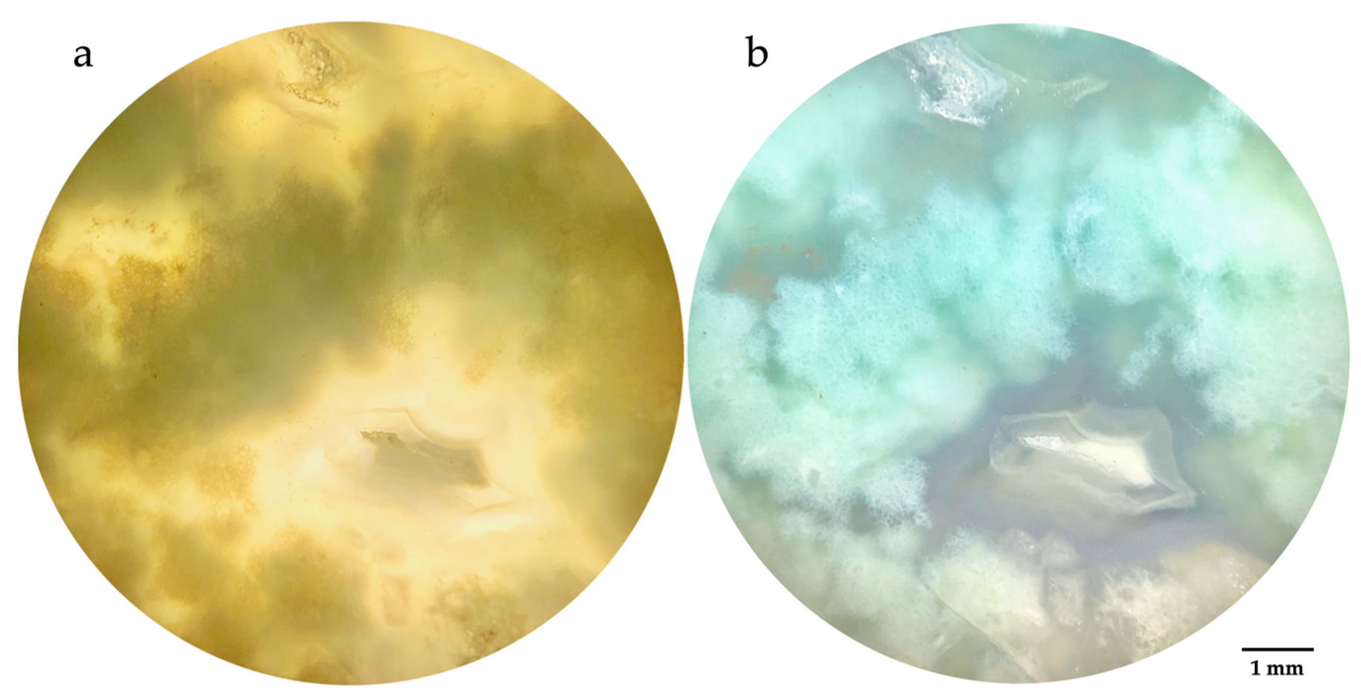 Crystals 14 01003 g002