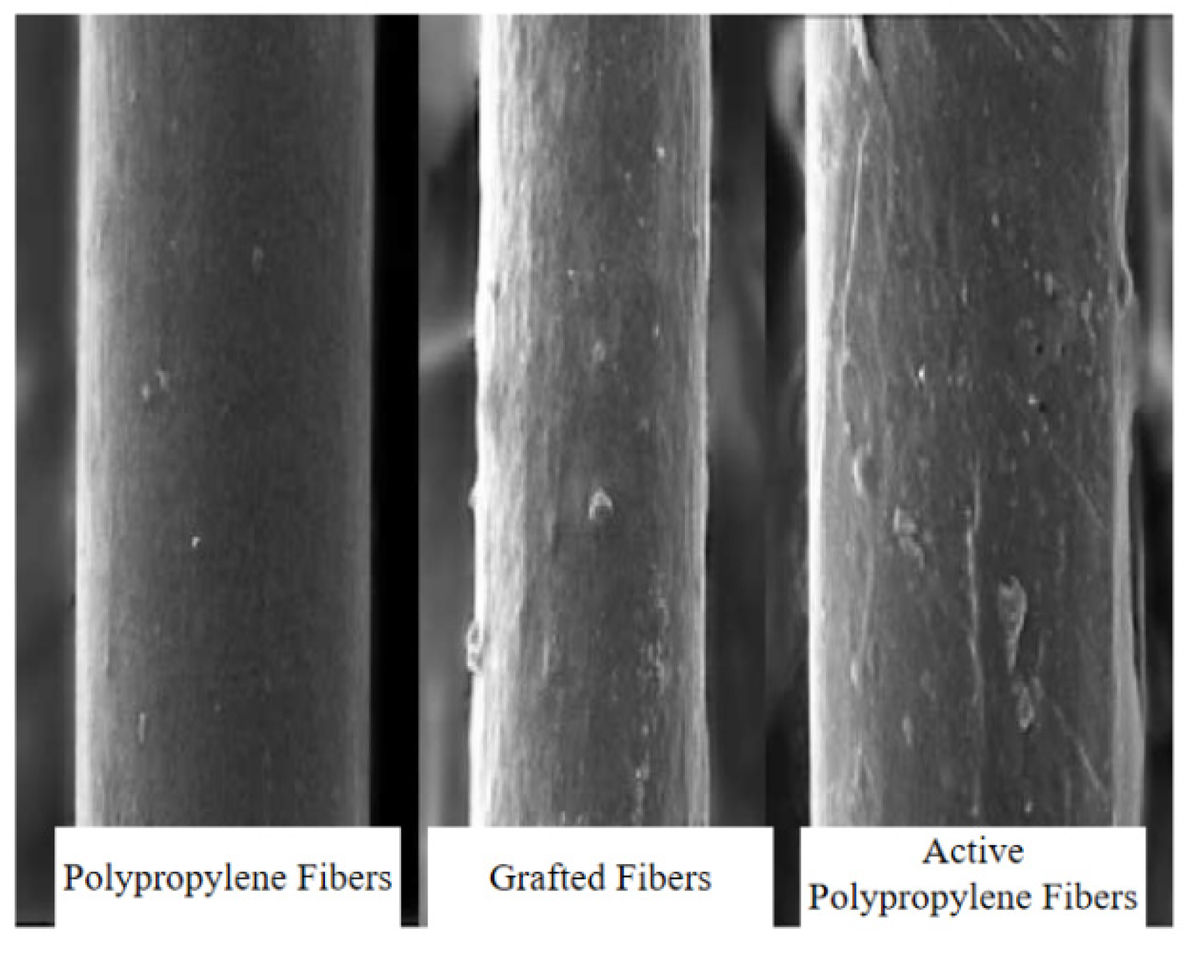 Crystals 14 01033 g004