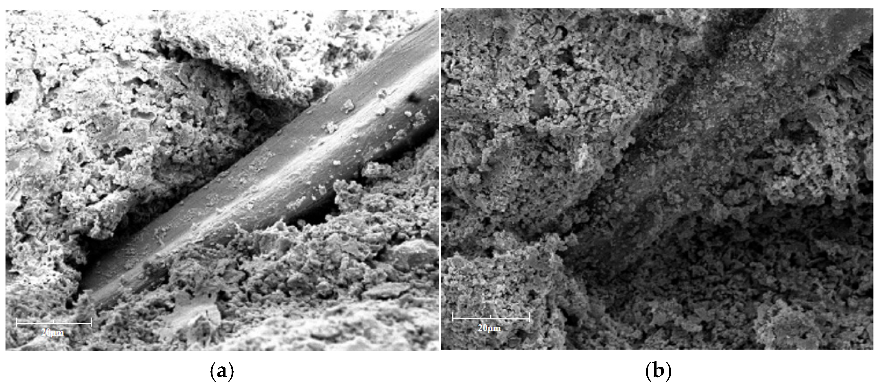 Crystals 14 01033 g006