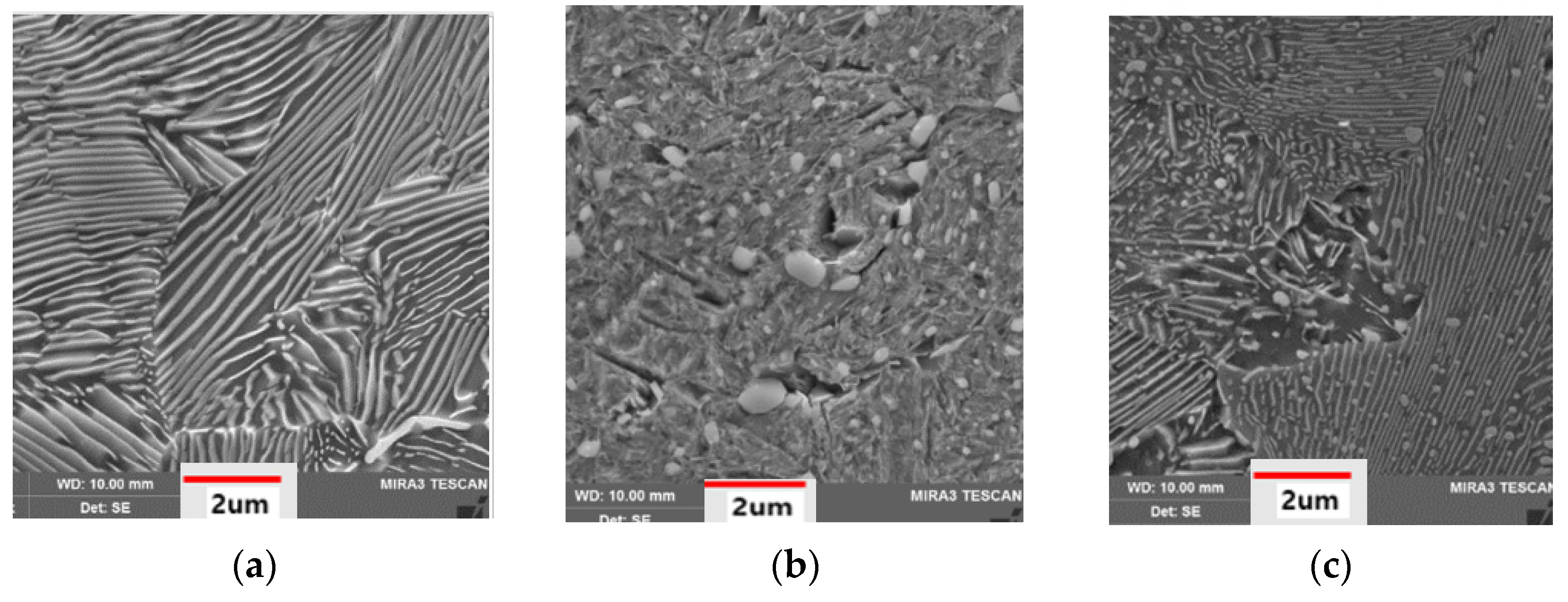 Crystals 14 01040 g004 Crystals 14 01040 g004
