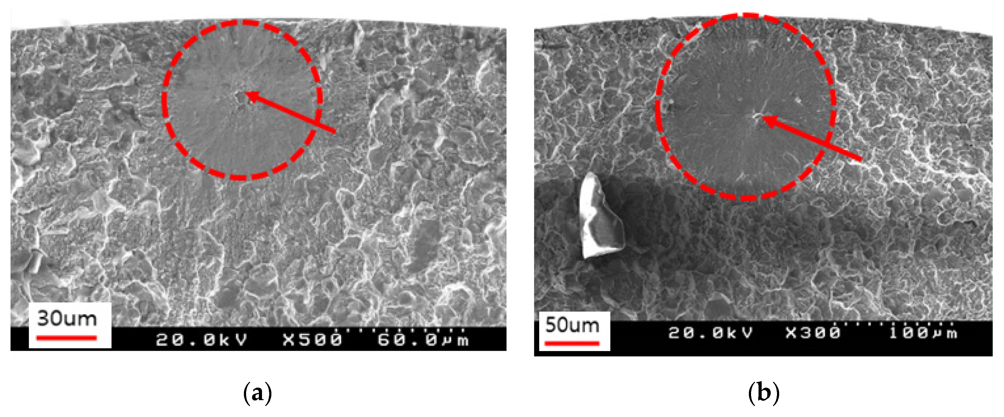 Crystals 14 01040 g010 Crystals 14 01040 g010